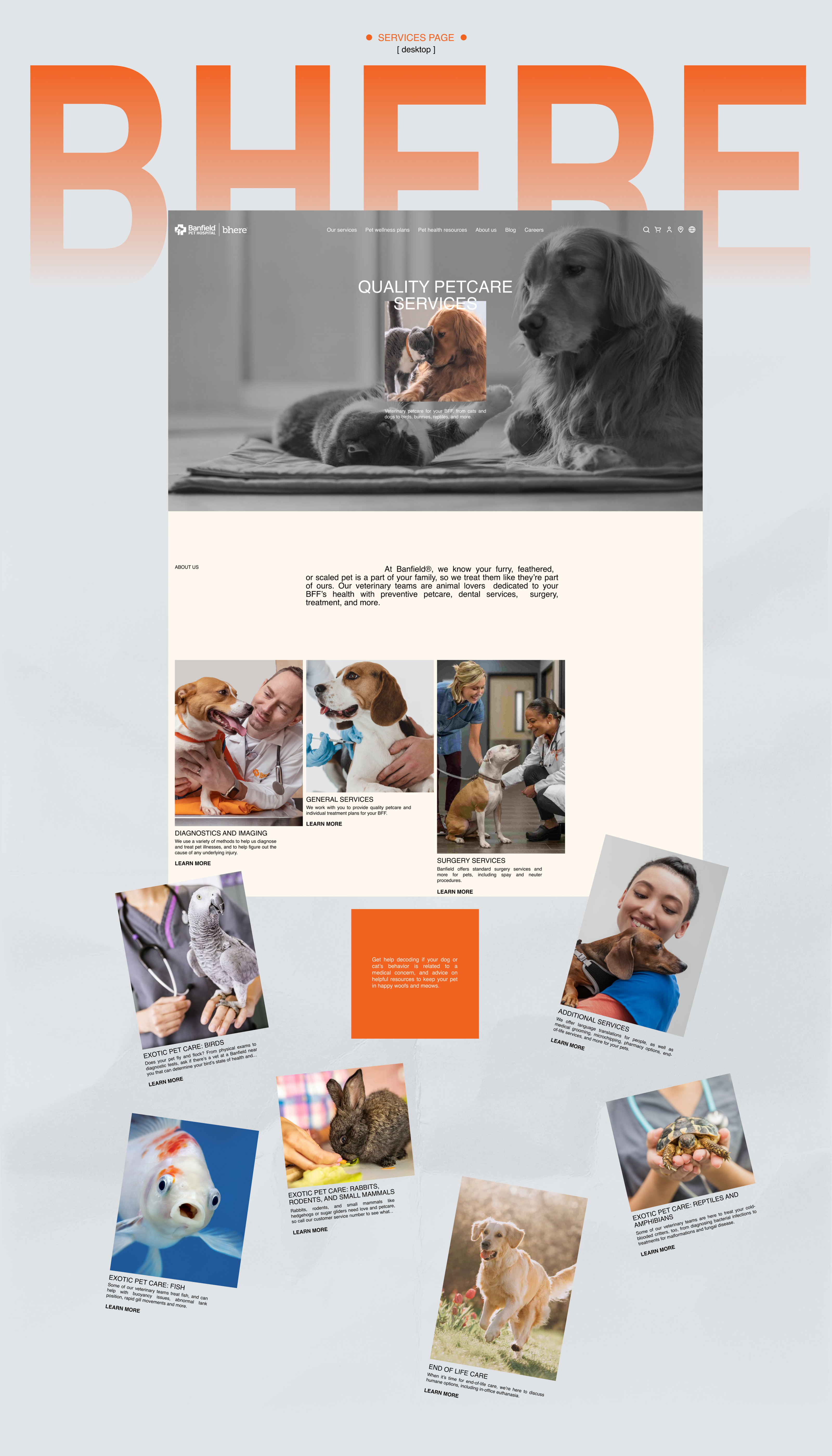 BANFIELD | Corporate website redesign — Изображение №5 — Интерфейсы, Брендинг на Dprofile