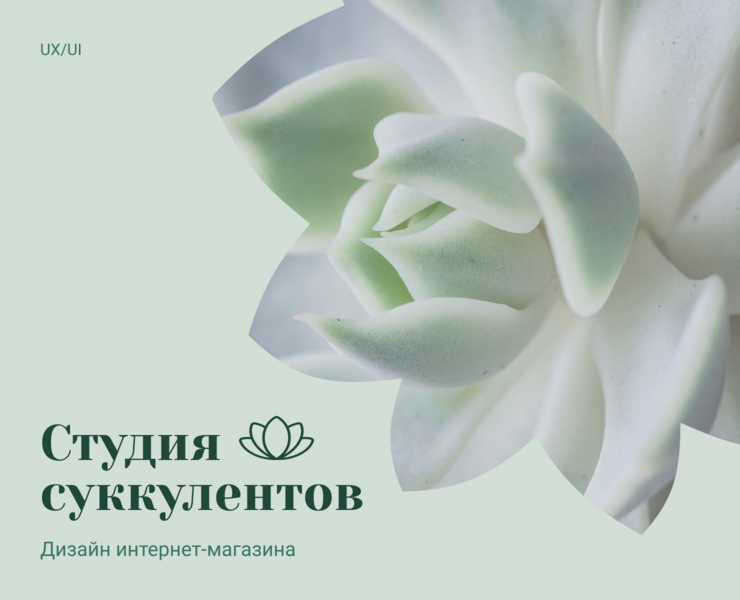 Студия суккулентов | Интернет-магазин на Dprofile