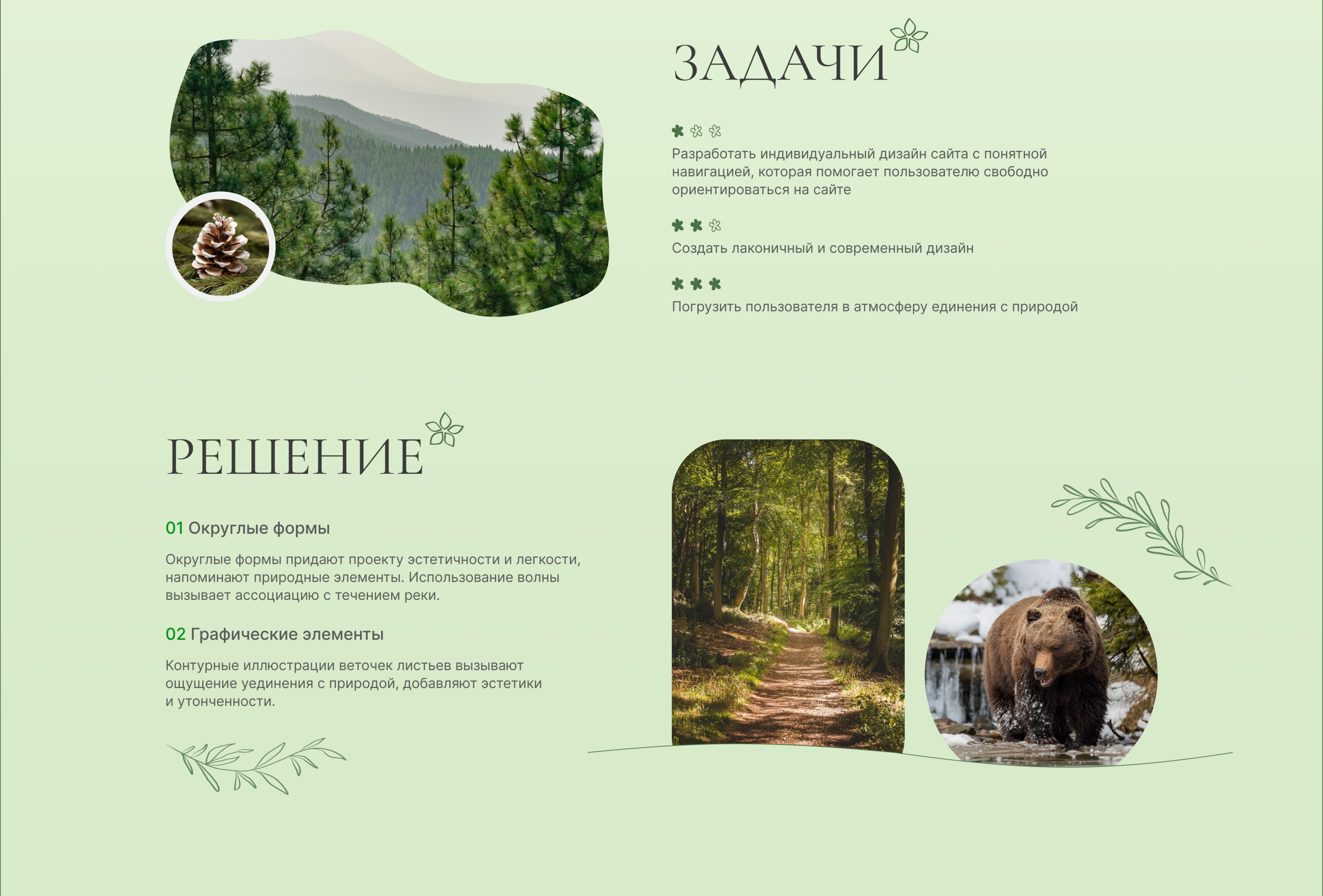 Байкальский заповедник | Редизайн сайта заповедника — Изображение №2 — Интерфейсы на Dprofile