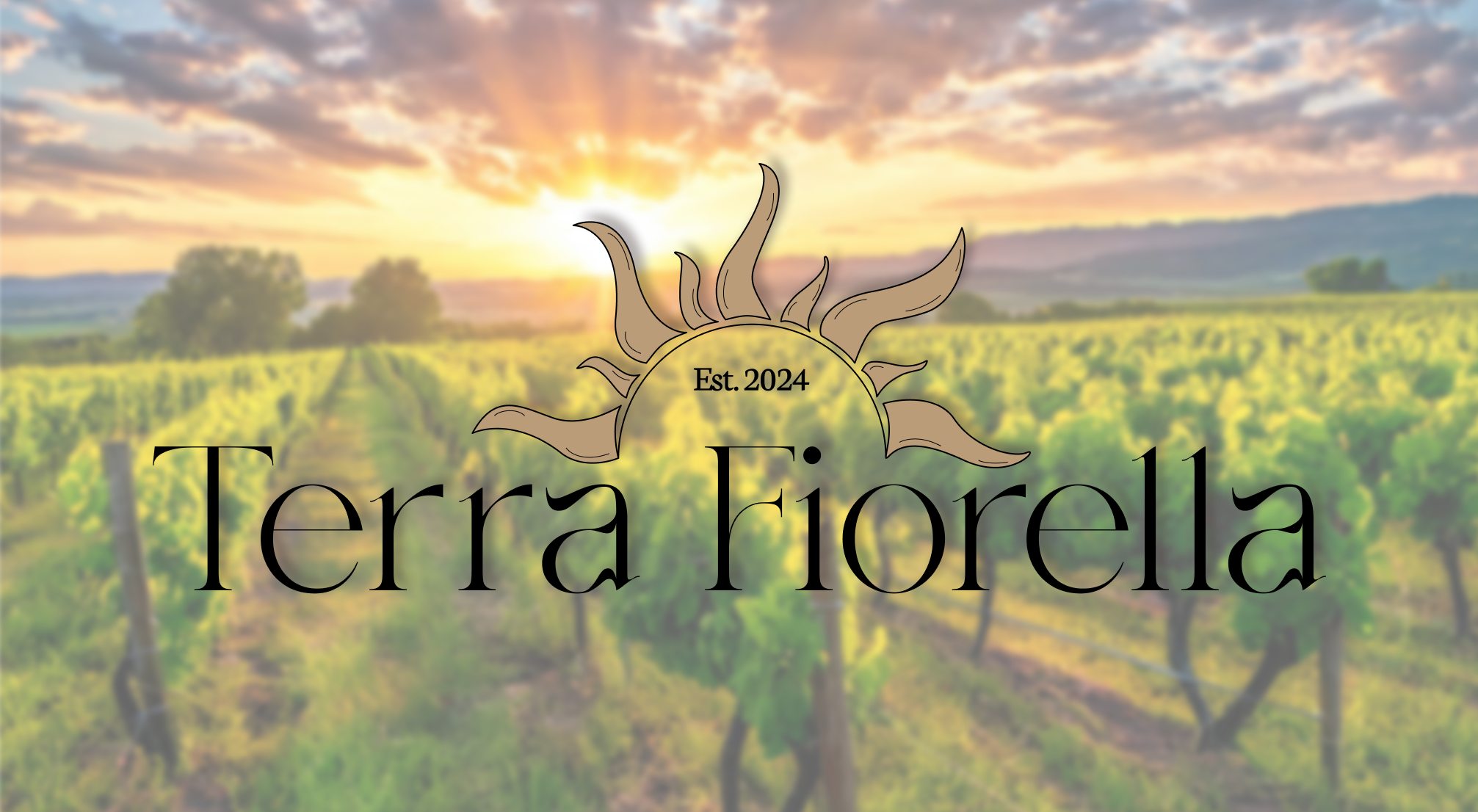 Terra Fiorella - винодельческая компания | фирменный стиль — Изображение №1 — Брендинг на Dprofile