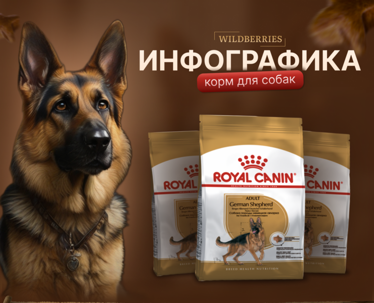 Инфографика Wildberries |  Корм для собак — Иллюстрация, Графика на Dprofile