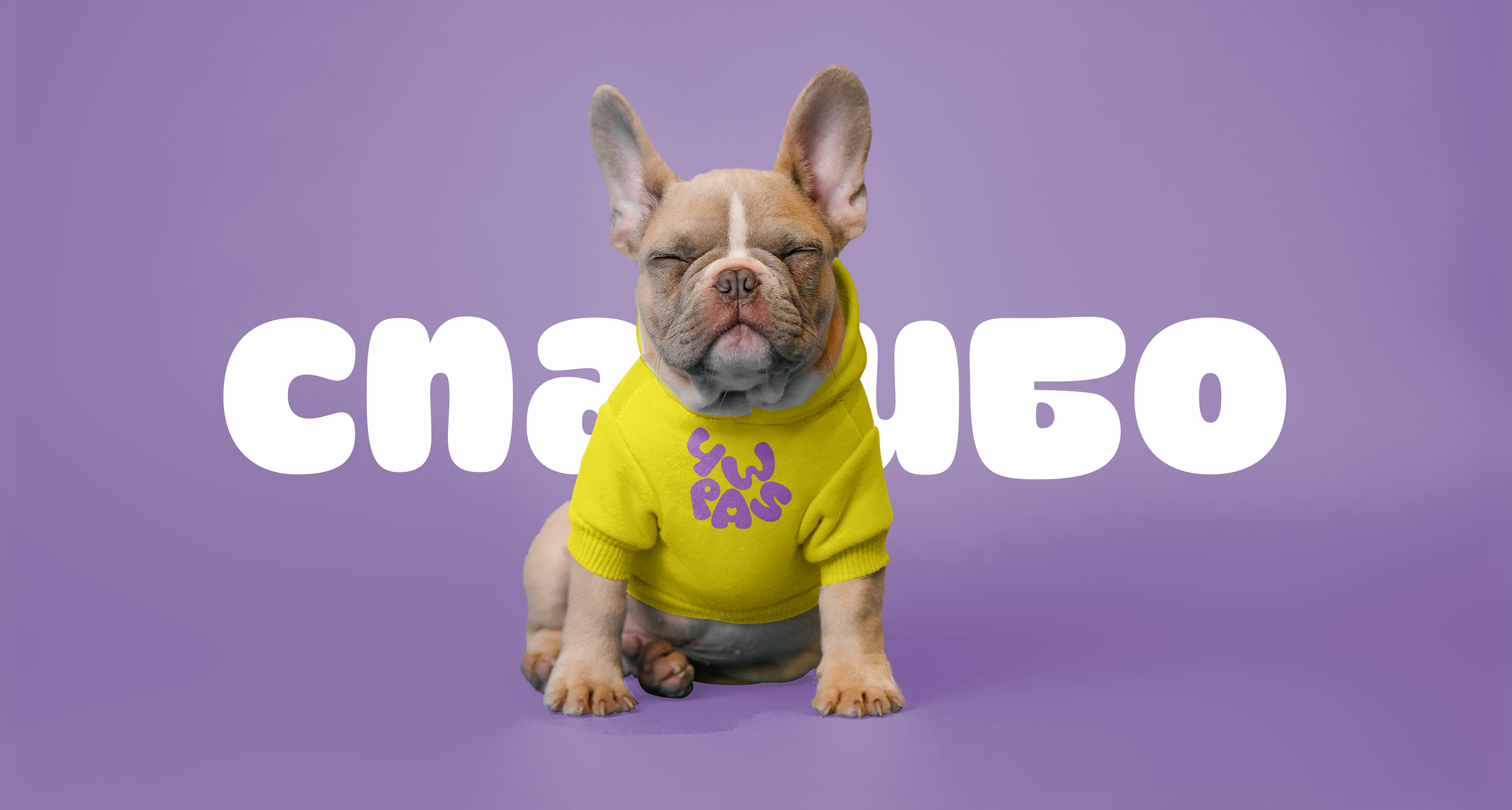 ПОСм для 4 PAWS AWENUE — Изображение №12 — Графика, Маркетинг на Dprofile