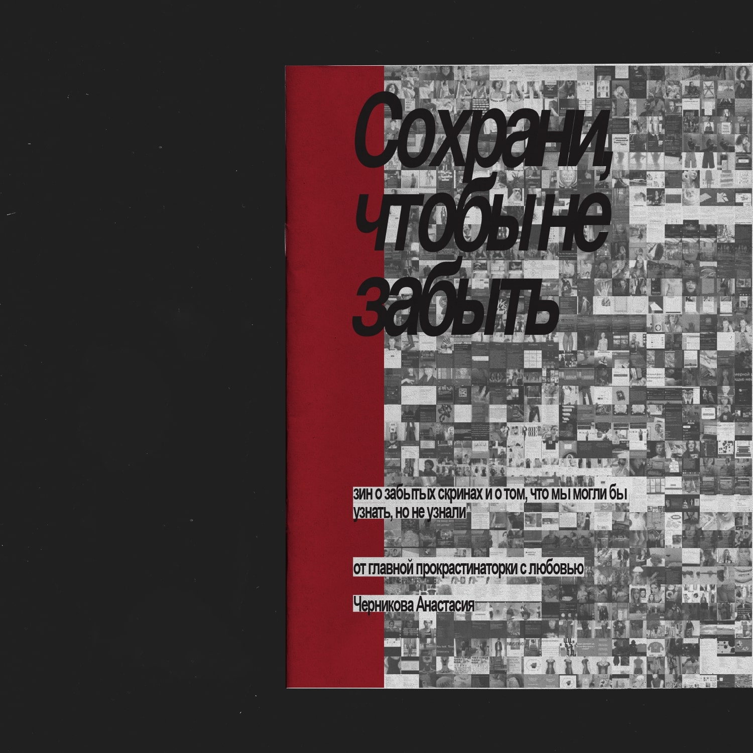 ЗИН Сохрани, чтобы не забыть — Изображение №2 — Графика на Dprofile