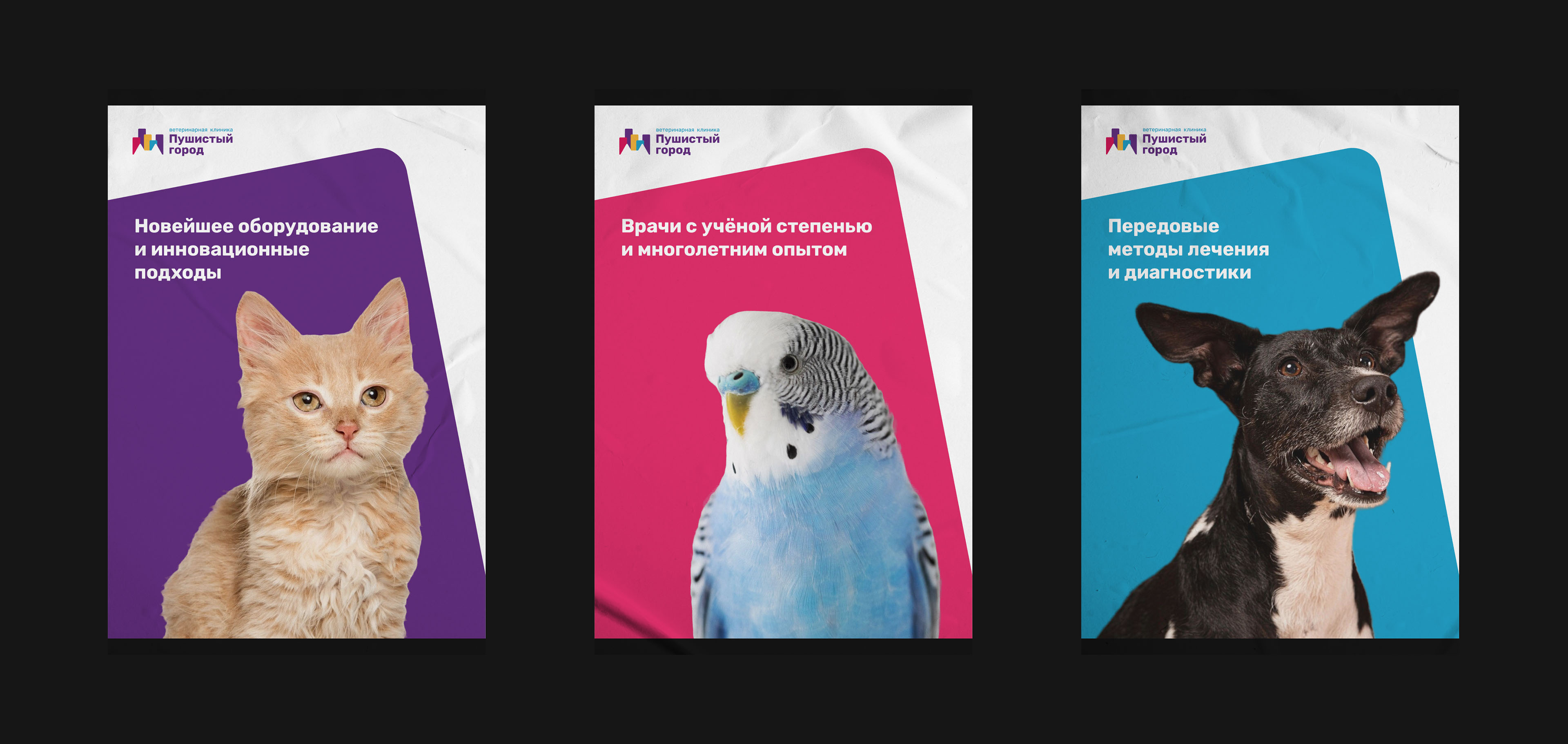 Пушистый город — Изображение №7 — Брендинг на Dprofile