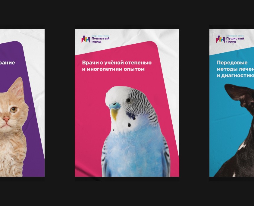 Пушистый город — Брендинг на Dprofile