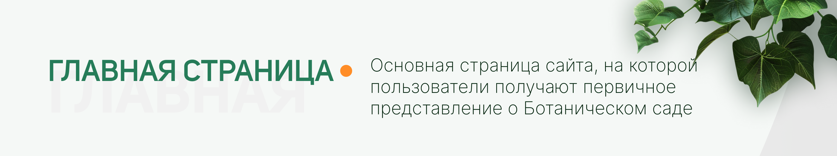 Редизайн сайта Ботанического сада ТвГУ — Изображение №14 — Интерфейсы, Анимация на Dprofile