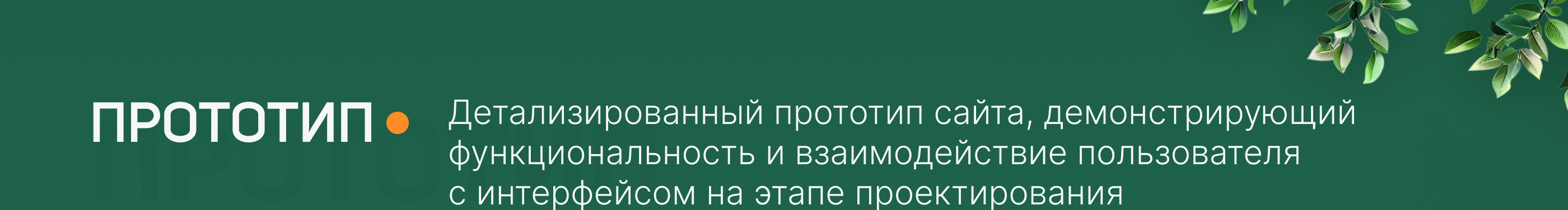 Редизайн сайта Ботанического сада ТвГУ — Изображение №13 — Интерфейсы, Анимация на Dprofile