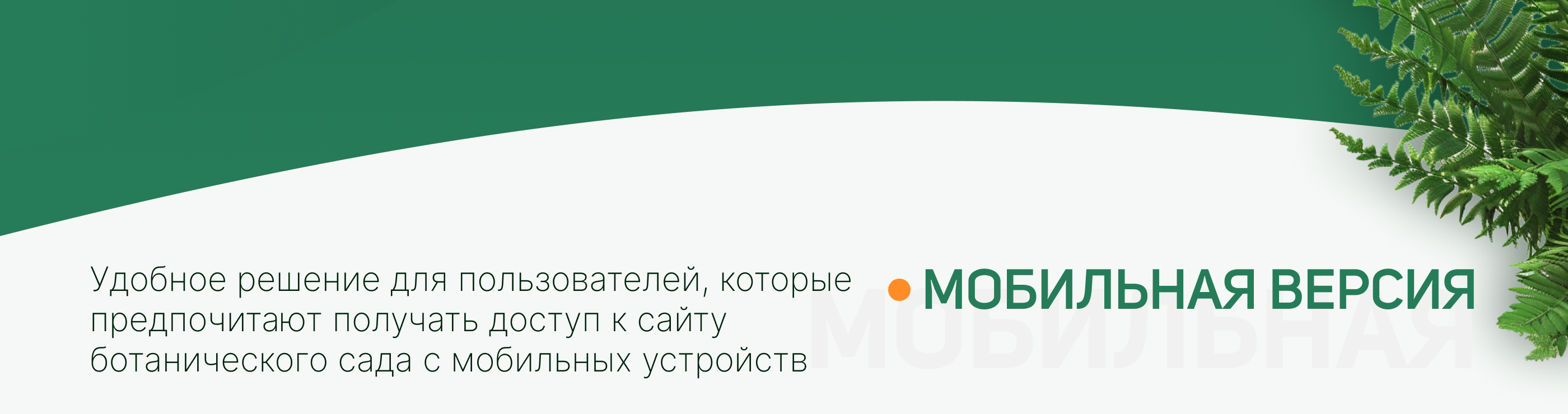 Редизайн сайта Ботанического сада ТвГУ — Изображение №17 — Интерфейсы, Анимация на Dprofile