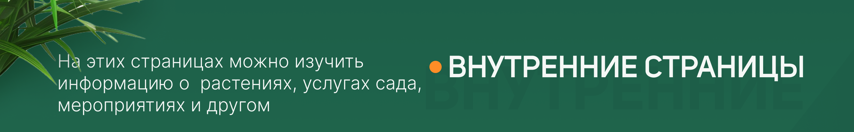 Редизайн сайта Ботанического сада ТвГУ — Изображение №16 — Интерфейсы, Анимация на Dprofile