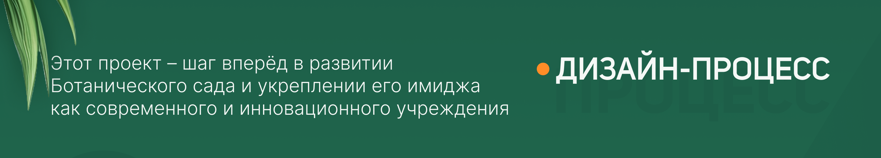 Редизайн сайта Ботанического сада ТвГУ — Изображение №4 — Интерфейсы, Анимация на Dprofile