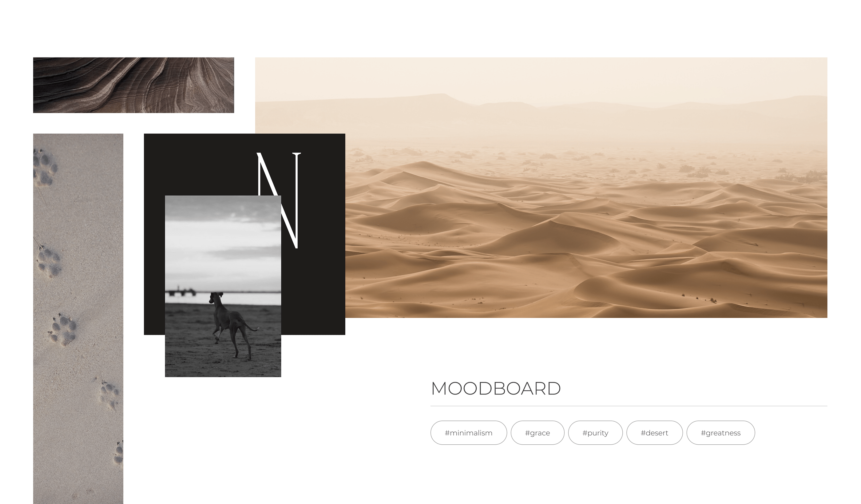 Dog kennel landing page. Azawakh. — Изображение №4 — Интерфейсы на Dprofile