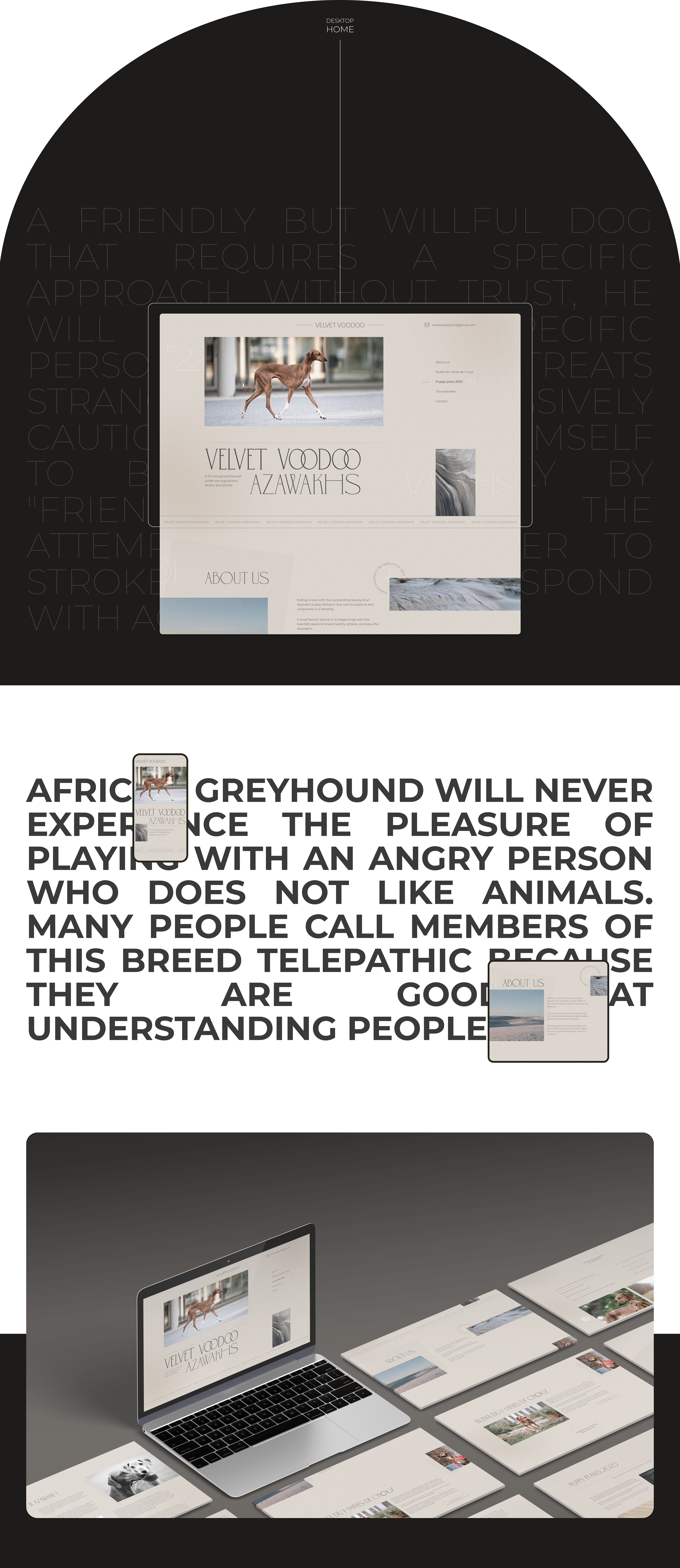 Dog kennel landing page. Azawakh. — Изображение №5 — Интерфейсы на Dprofile