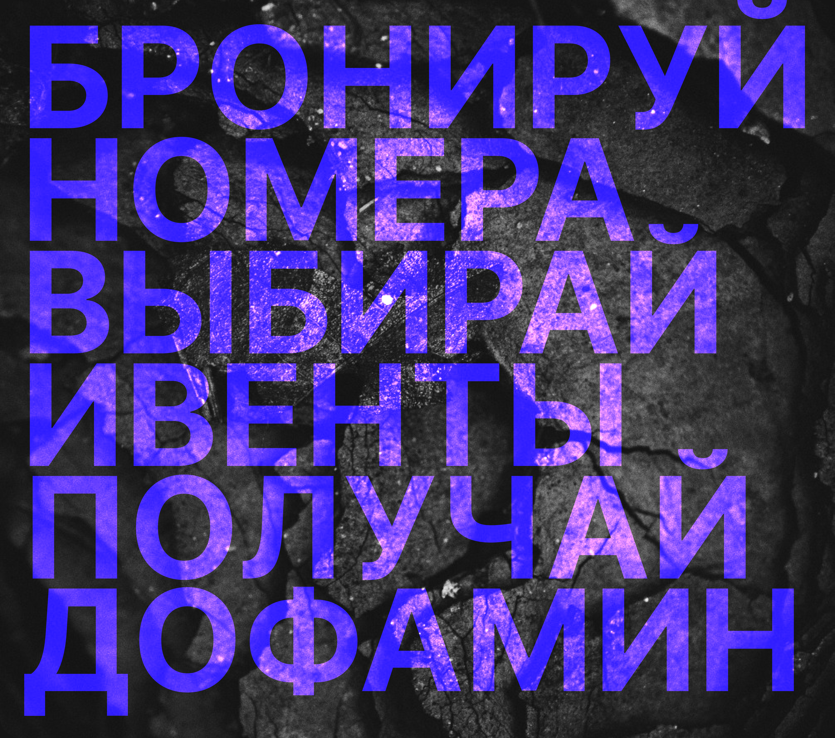 АЛТАЙ | КОРПОРАТИВНЫЙ САЙТ | REDCAT | Presale — Изображение №6 — Интерфейсы на Dprofile