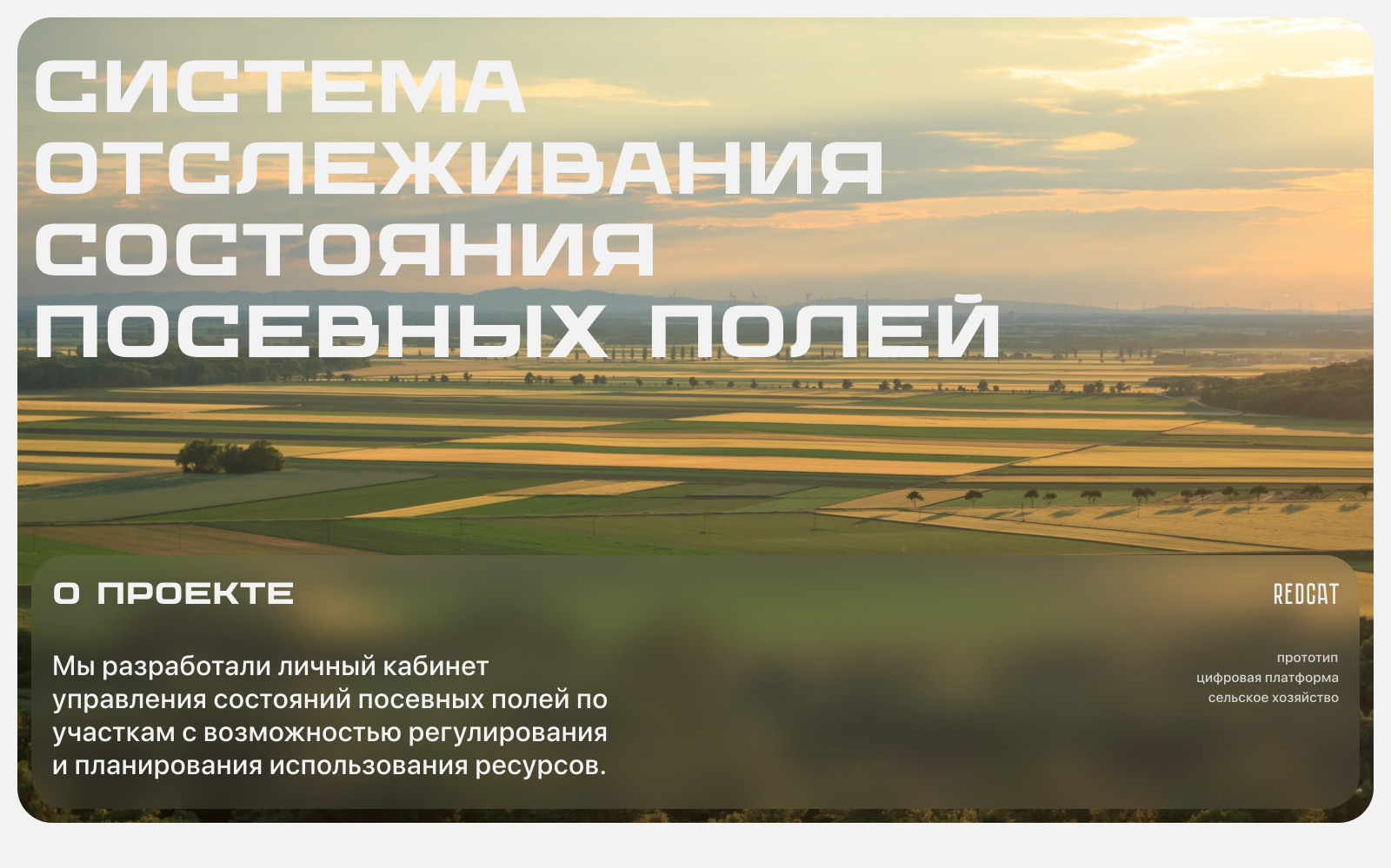 ПОЛЕ | ЦИФРОВАЯ ПЛАТФОРМА | REDCAT | Presale — Изображение №1 — Интерфейсы на Dprofile