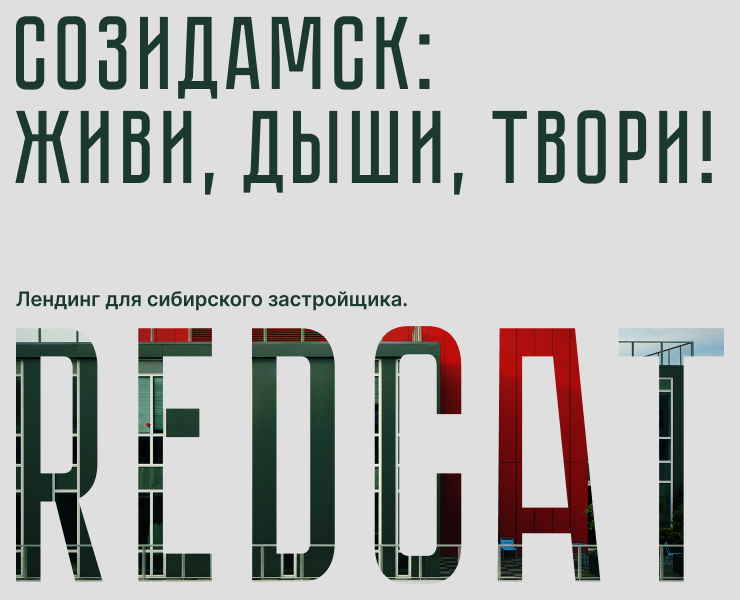 СОЗИДАМСК | ЛЕНДИНГ ДЛЯ ЗАСТРОЙЩИКА | REDCAT — Интерфейсы на Dprofile