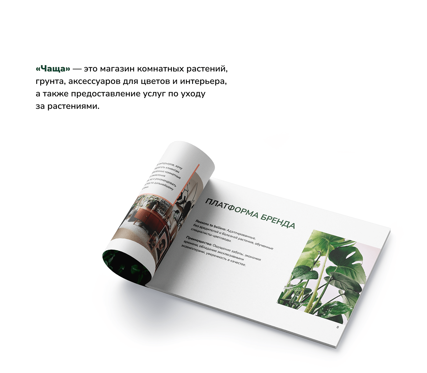 Разработка бренд-платформы и айдентики — Изображение №2 — Брендинг, Графика на Dprofile