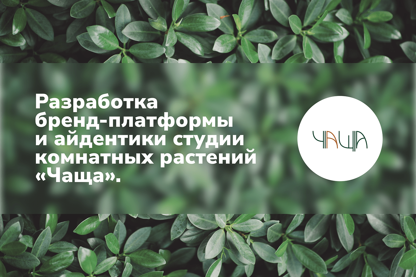 Разработка бренд-платформы и айдентики — Изображение №1 — Брендинг, Графика на Dprofile