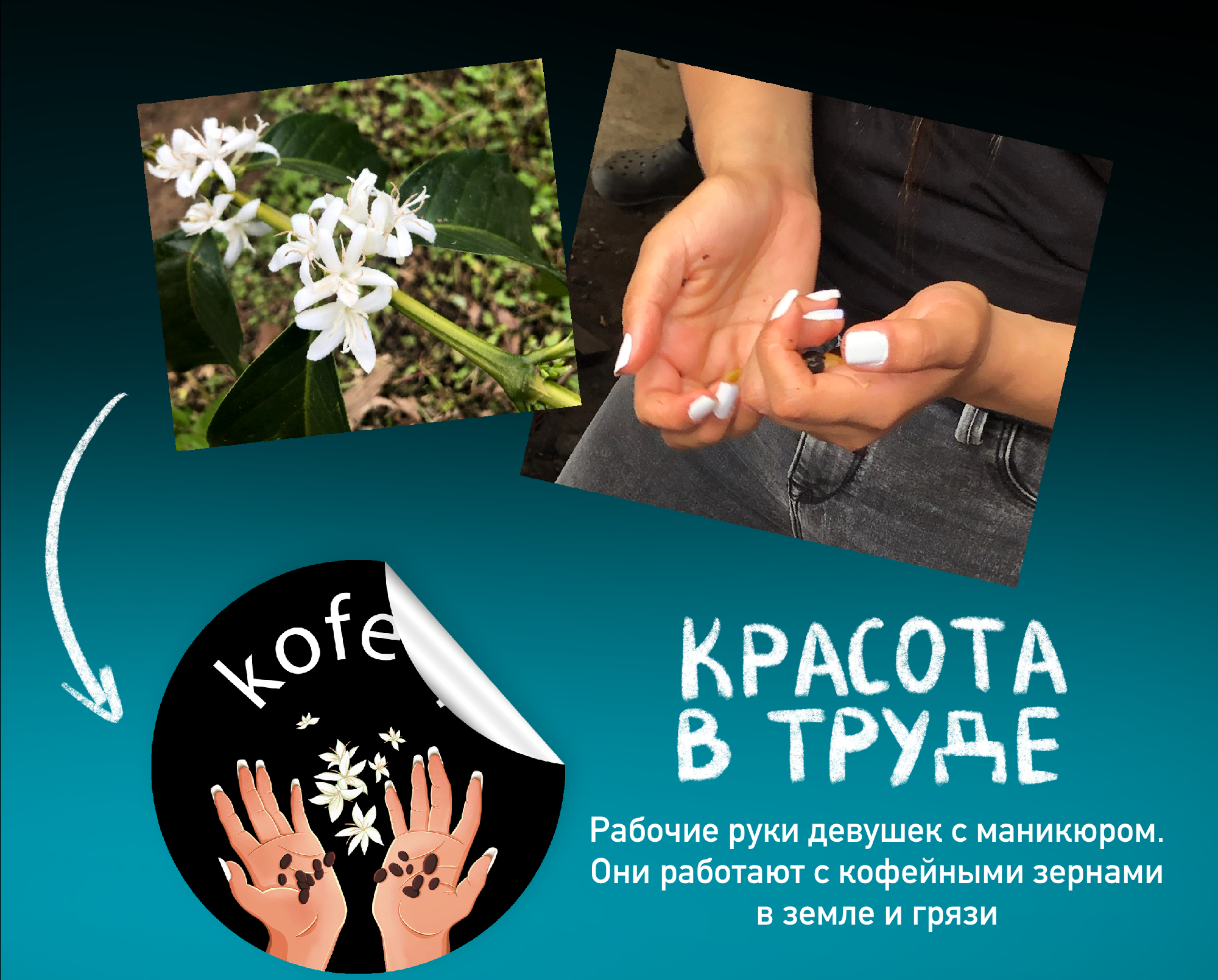 Воспоминания из кофейных поездок — Изображение №6 — Брендинг, Иллюстрация на Dprofile