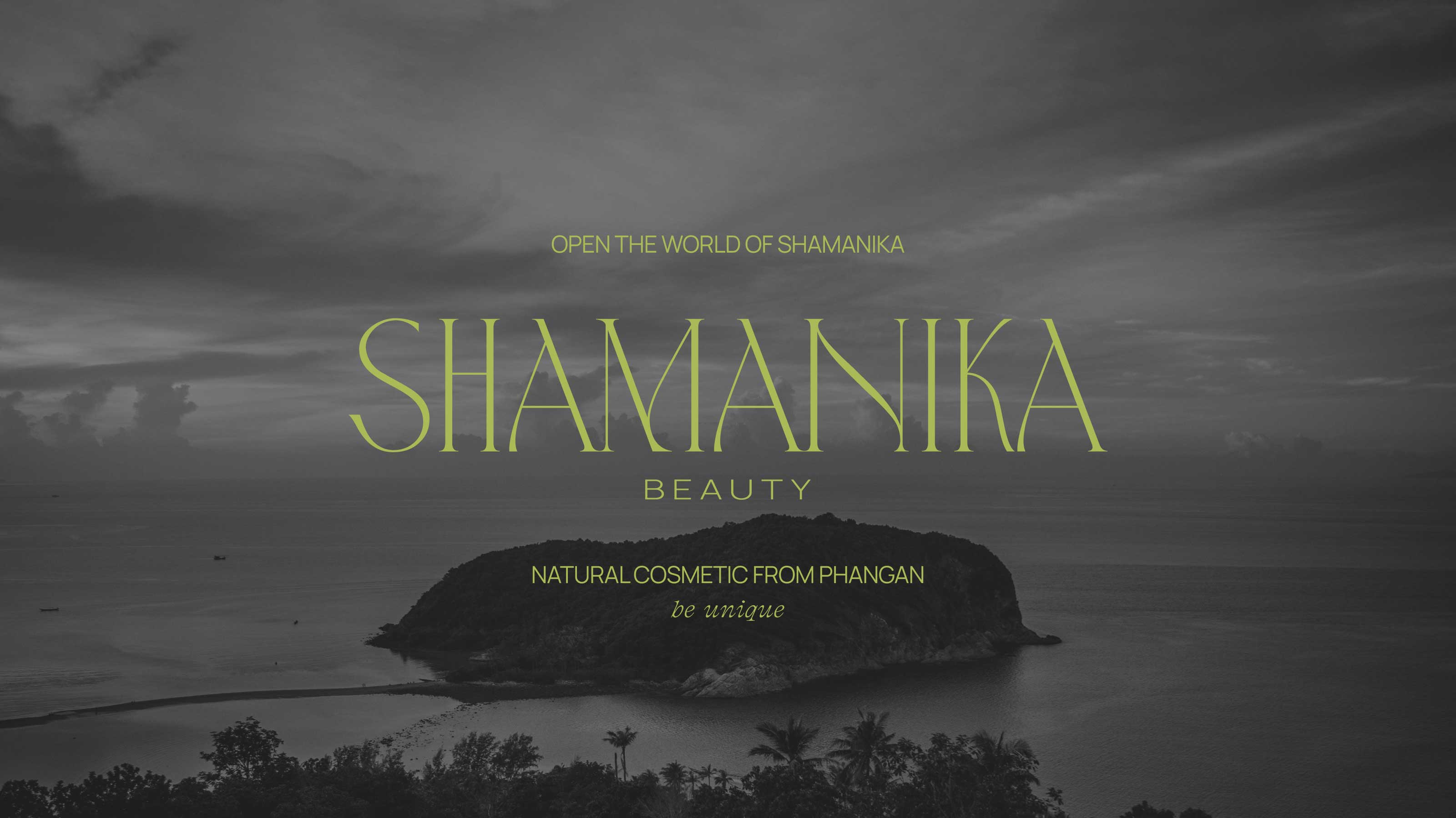 АЙДЕНТИКА SHAMANIKA BEAUTY — Изображение №12 — Брендинг на Dprofile