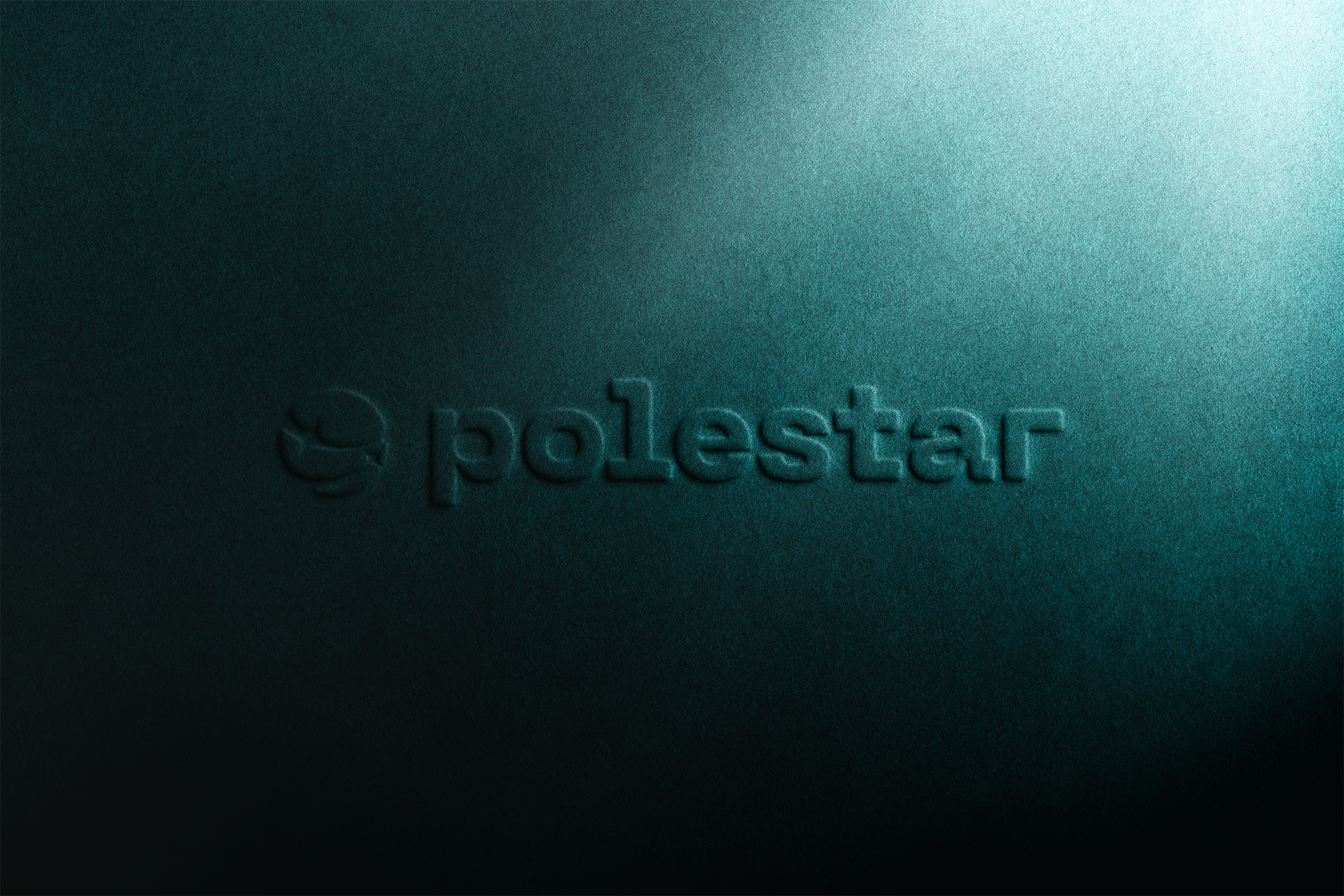 PoleStar — Изображение №1 — Брендинг на Dprofile