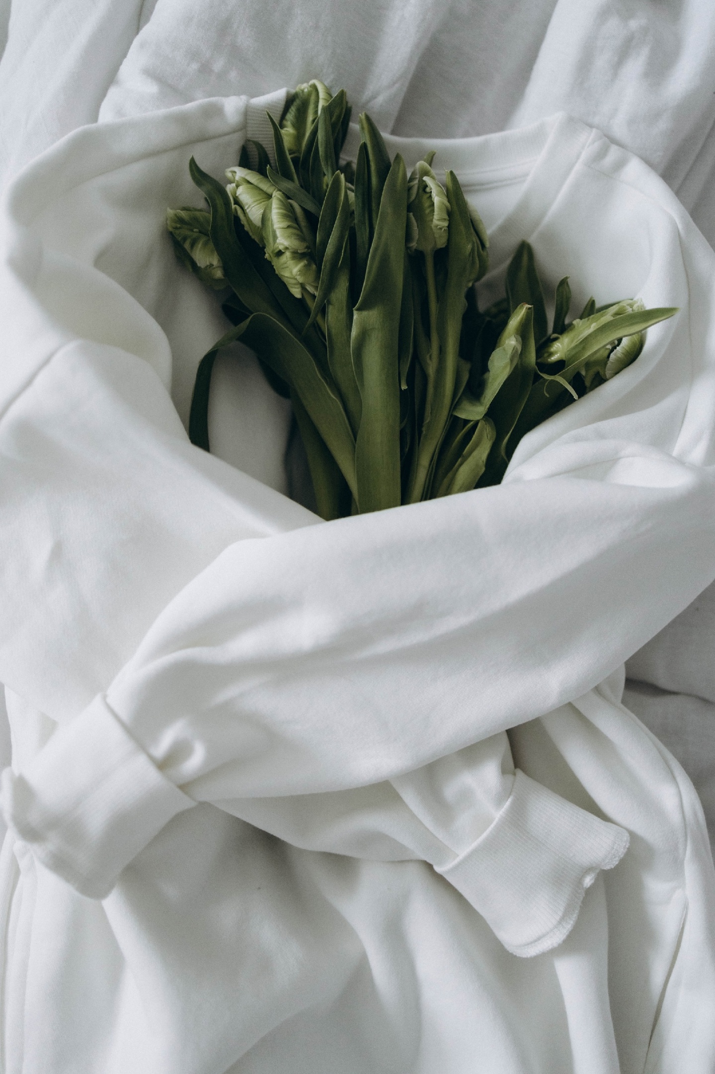 Флористическая/букетная мастерская "Ботаника" — Изображение №5 — Брендинг на Dprofile