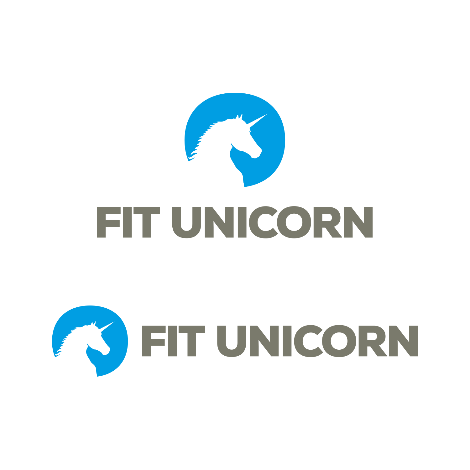 FIT UNICORN (2016) — Изображение №6 — Брендинг на Dprofile