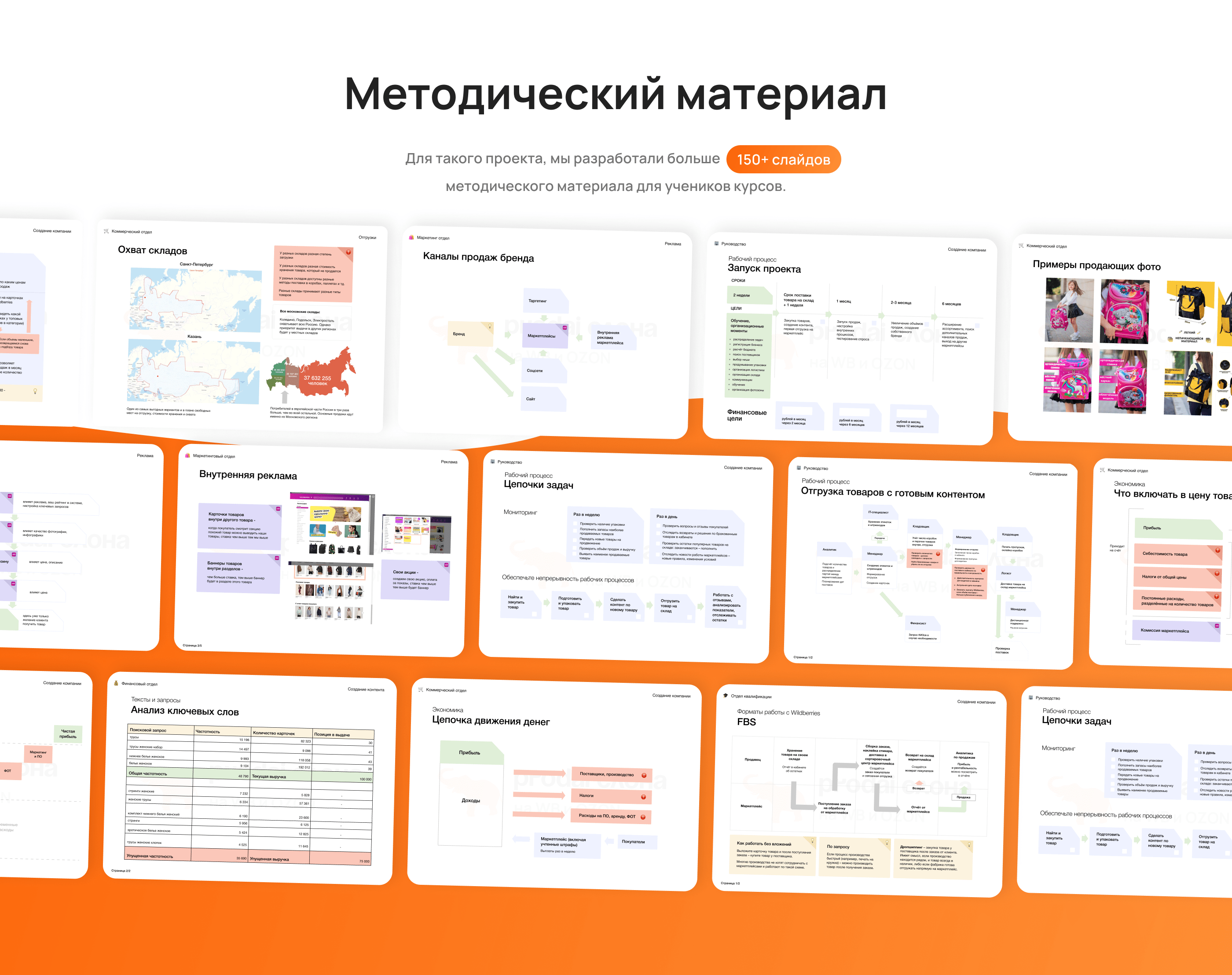 Prodai слона - курс по выходу на wildberries — Изображение №4 — Интерфейсы, Брендинг на Dprofile