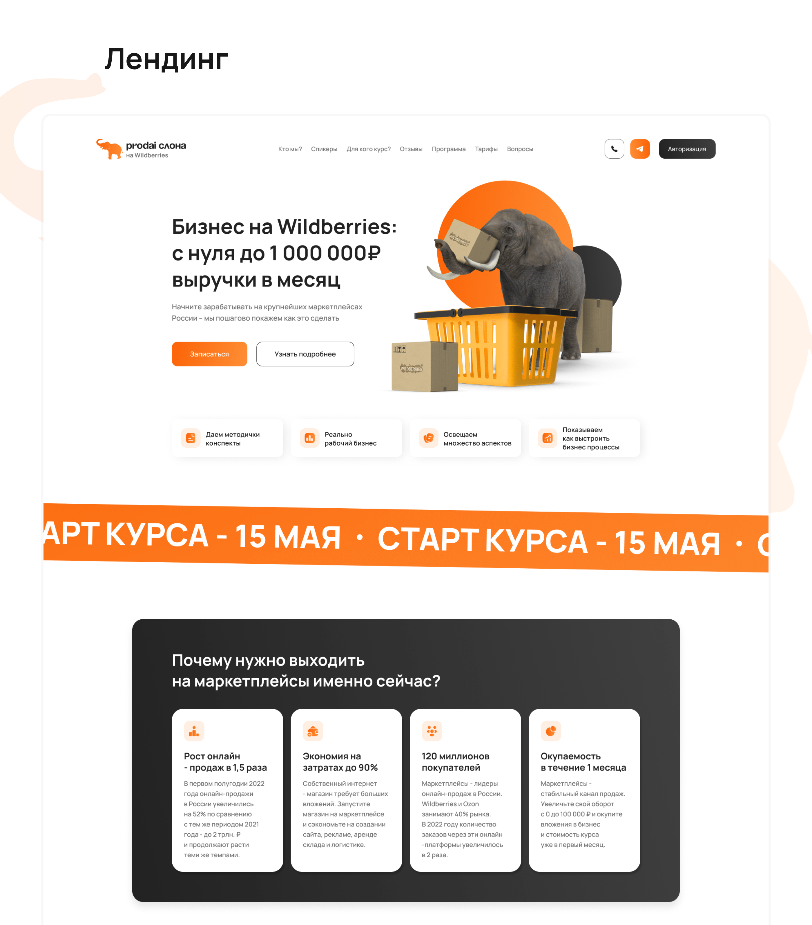 Prodai слона - курс по выходу на wildberries — Изображение №8 — Интерфейсы, Брендинг на Dprofile