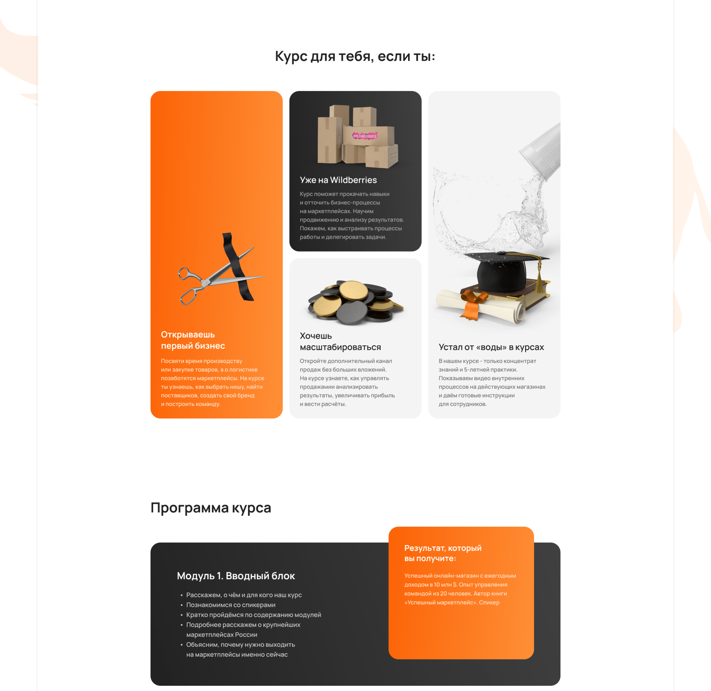 Prodai слона - курс по выходу на wildberries — Изображение №11 — Интерфейсы, Брендинг на Dprofile