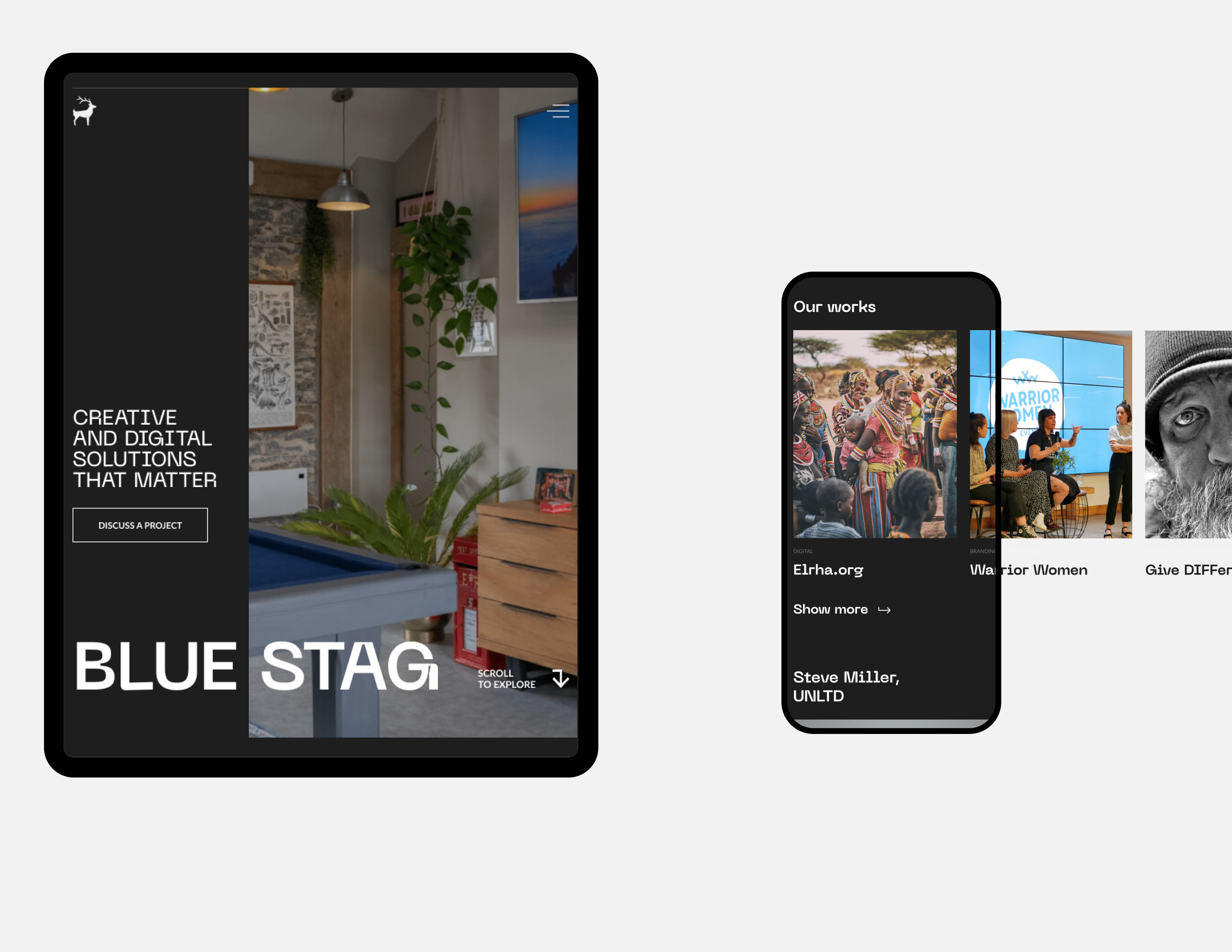 Blue Stag - Website — Изображение №8 — Интерфейсы, Анимация на Dprofile