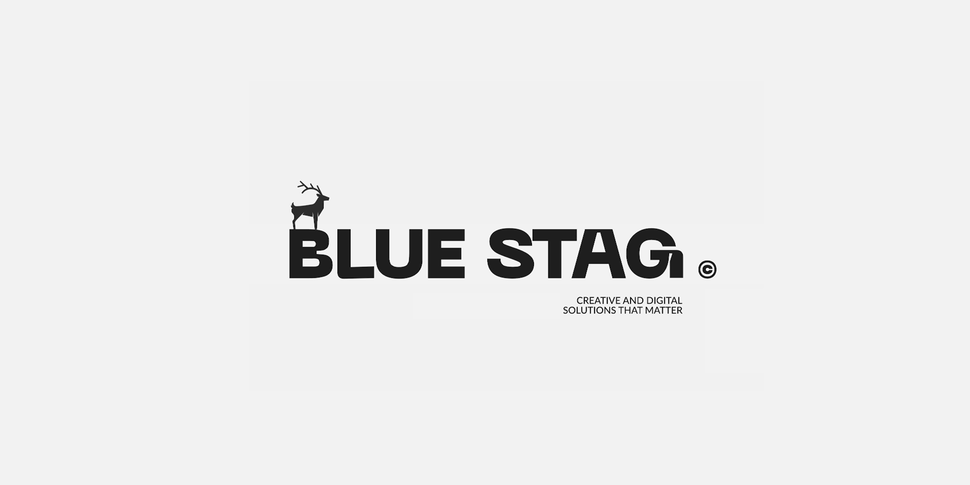 Blue Stag - Website — Изображение №2 — Интерфейсы, Анимация на Dprofile