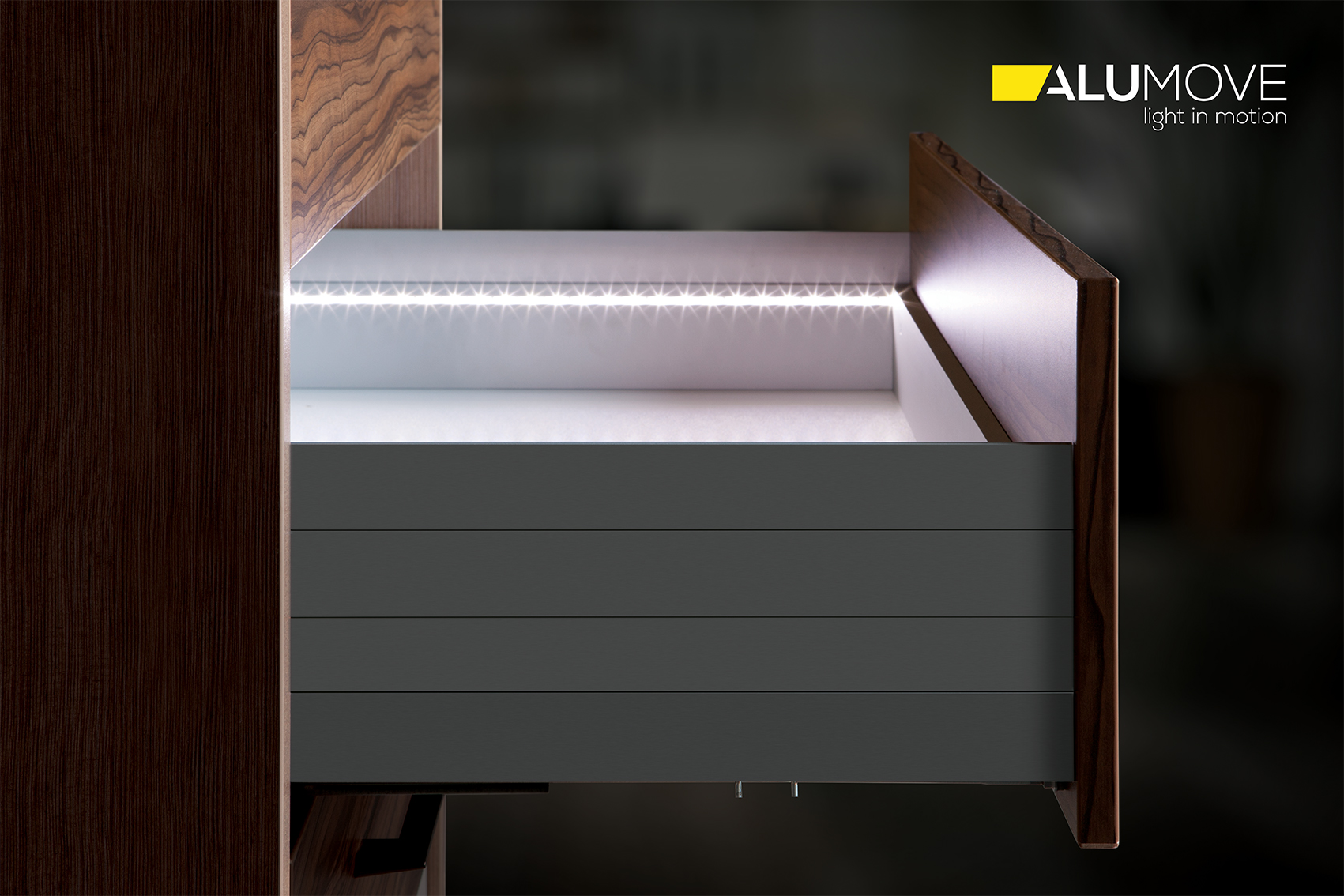 Полиграфия, визуал, графика — Изображение №5 — Брендинг, Графика на Dprofile