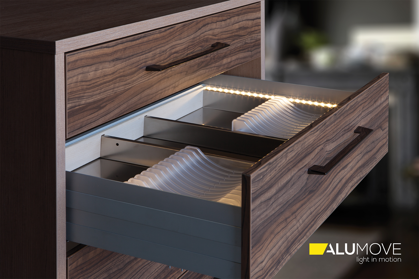 Полиграфия, визуал, графика — Изображение №4 — Брендинг, Графика на Dprofile