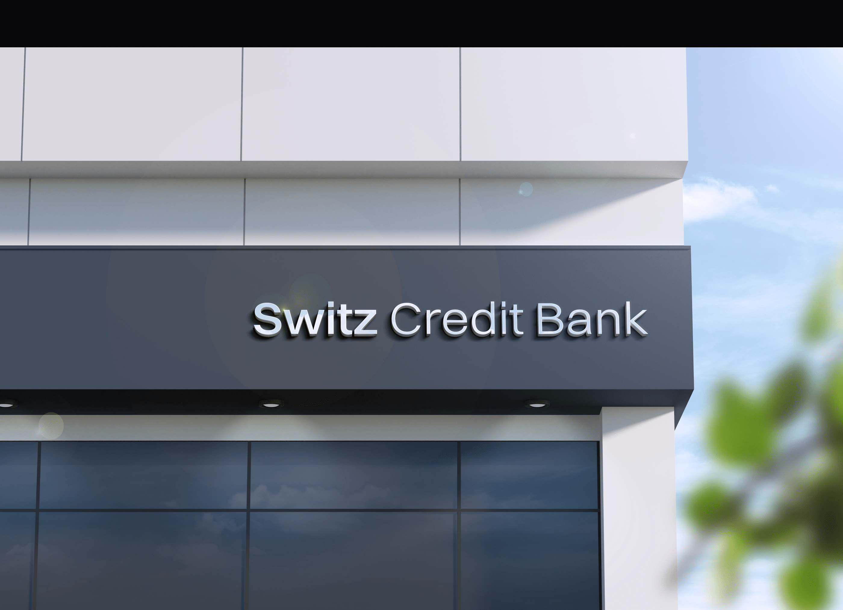 Switz Credit Bank — Изображение №3 — Интерфейсы, Брендинг на Dprofile