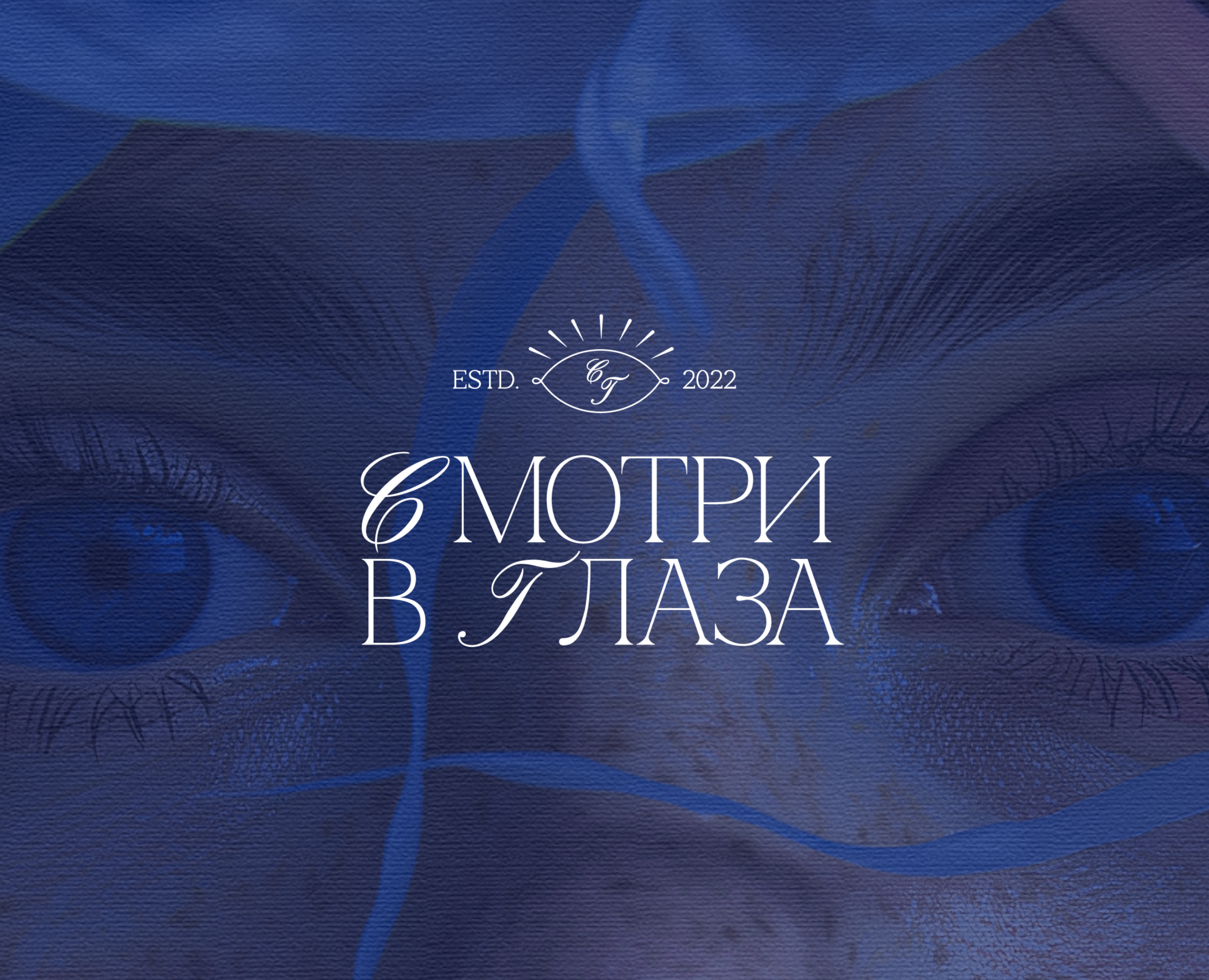 Branding | Logo| Фирменный стиль | наращивание ресниц — Брендинг на Dprofile