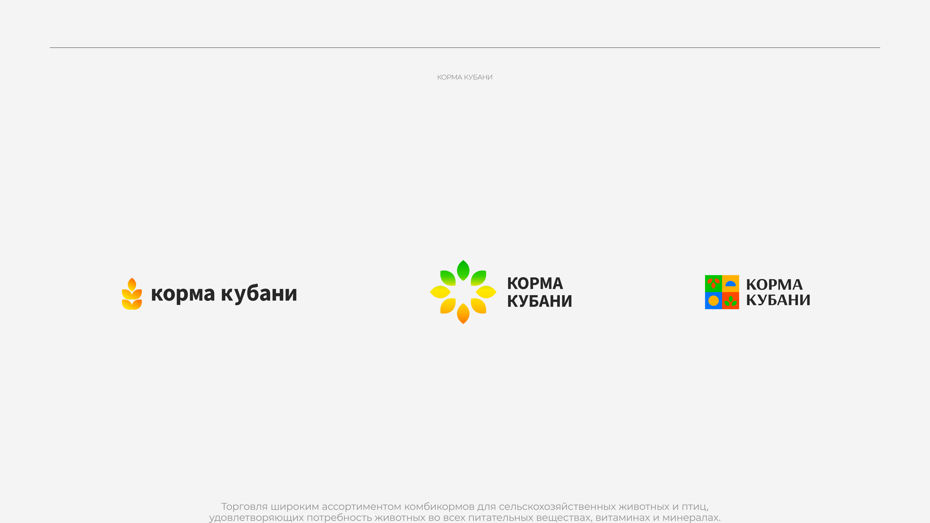Express design, vol. 1 — Изображение №3 — Брендинг, Графика на Dprofile