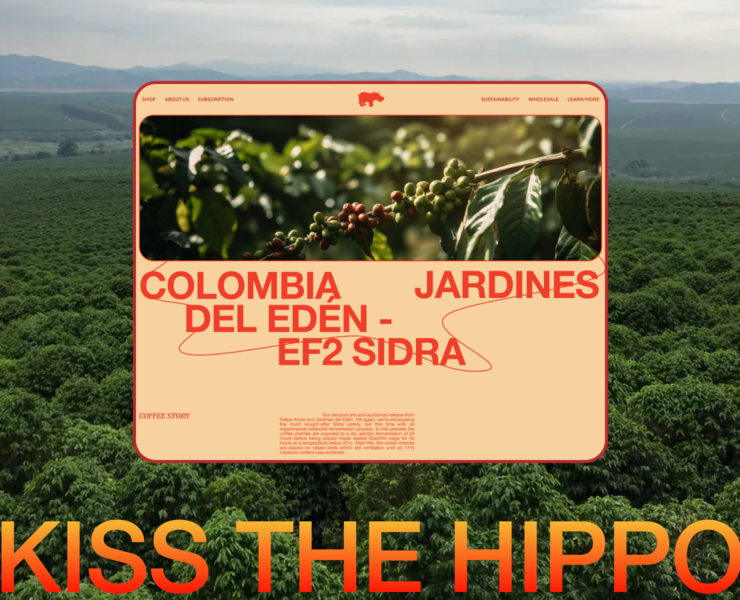 Kiss the hippo — Интерфейсы на Dprofile