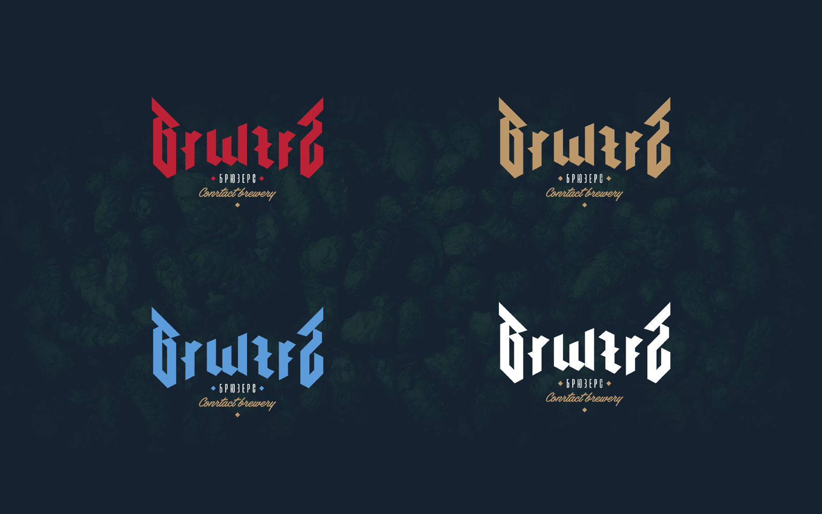BrwzrS — Изображение №2 — Брендинг на Dprofile