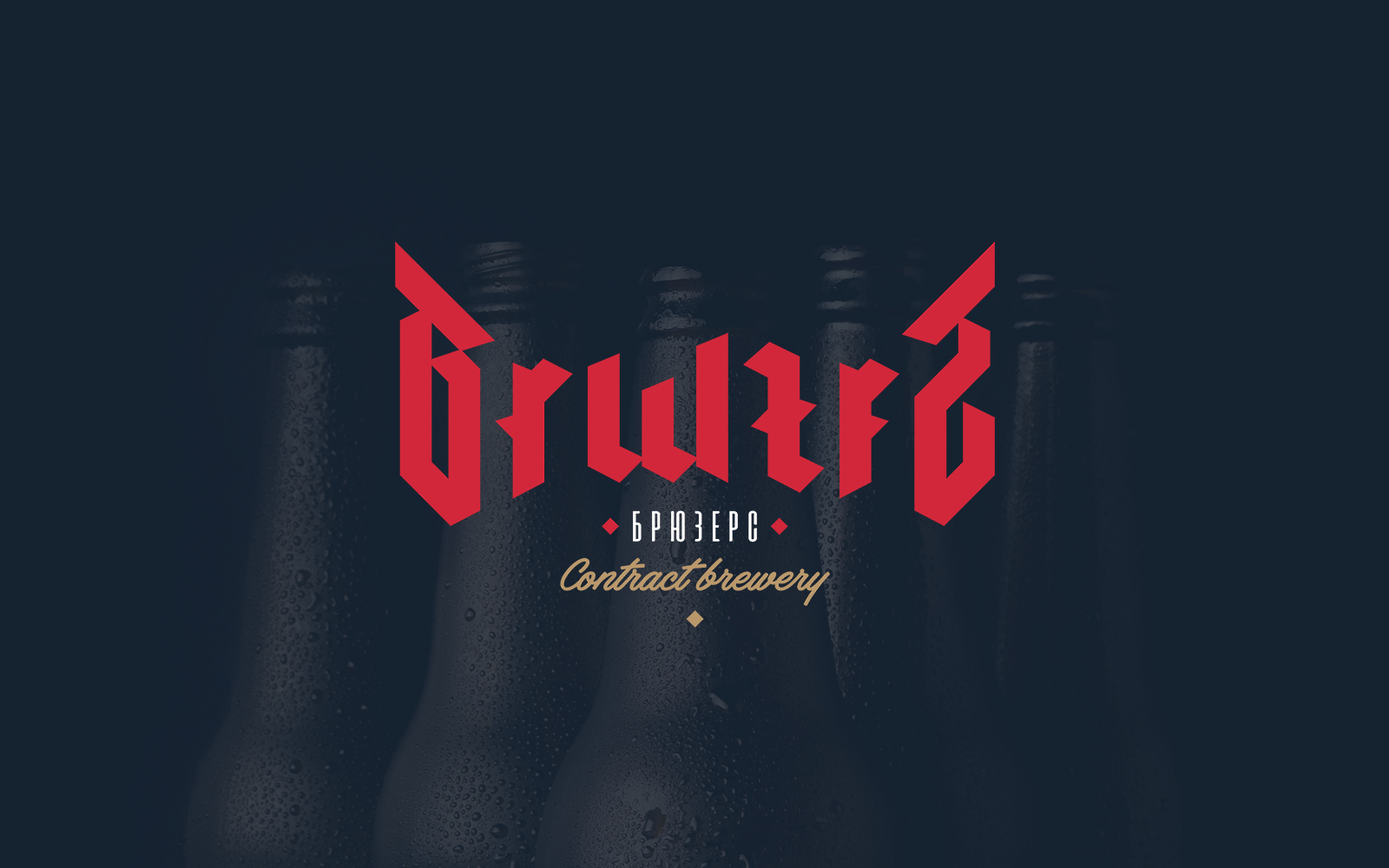 BrwzrS — Изображение №1 — Брендинг на Dprofile