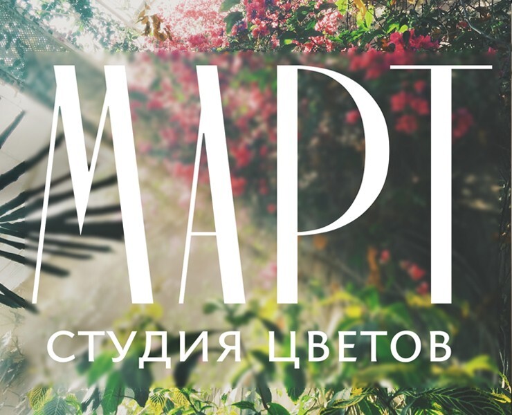 Март на Dprofile