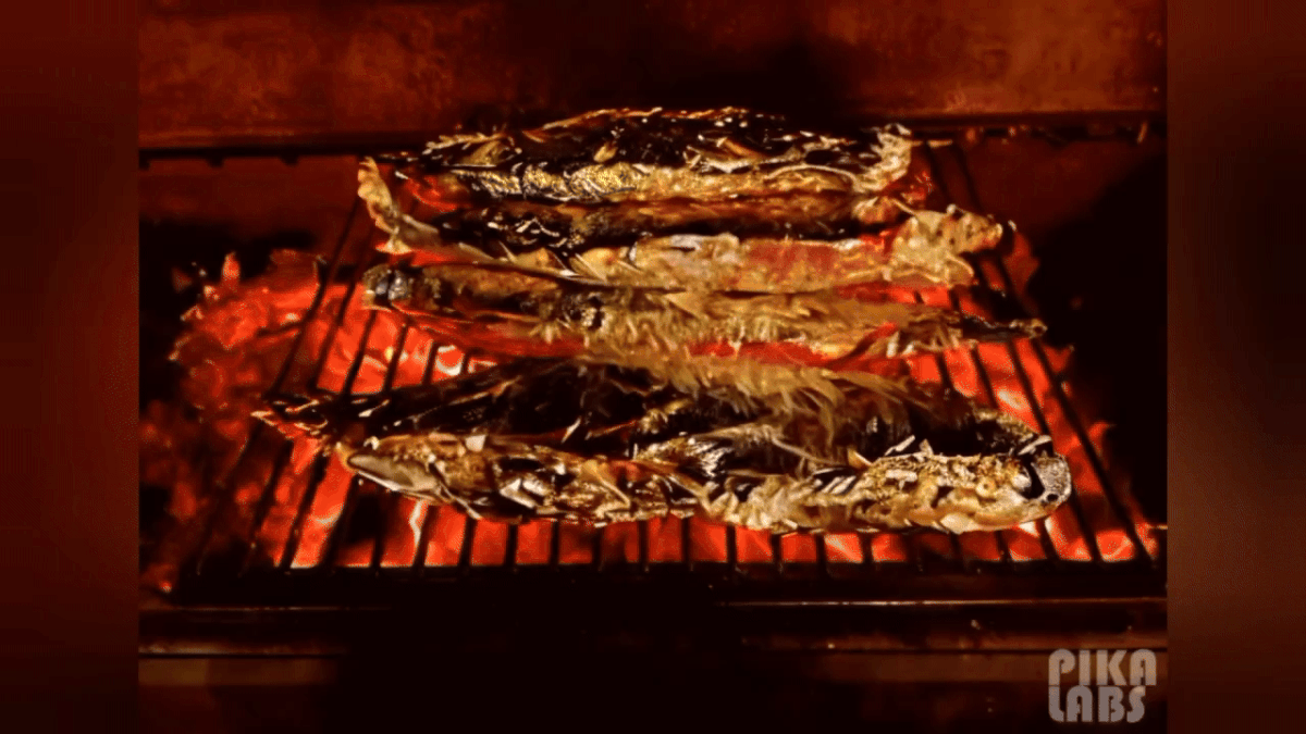 Фирменный стиль | полиграфия для глэмпинга — Изображение №14 — Брендинг на Dprofile