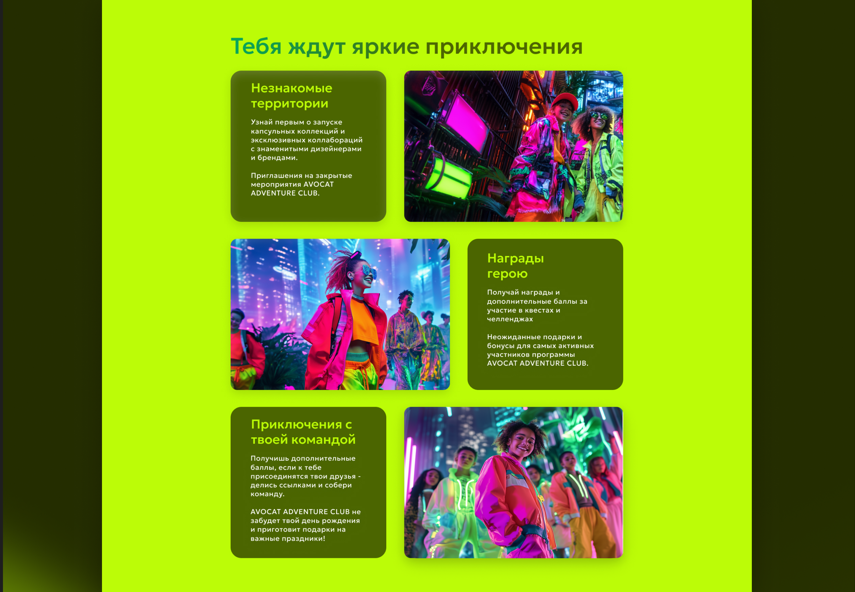 Web-айдентика для AVOCAT — Изображение №12 — Брендинг на Dprofile