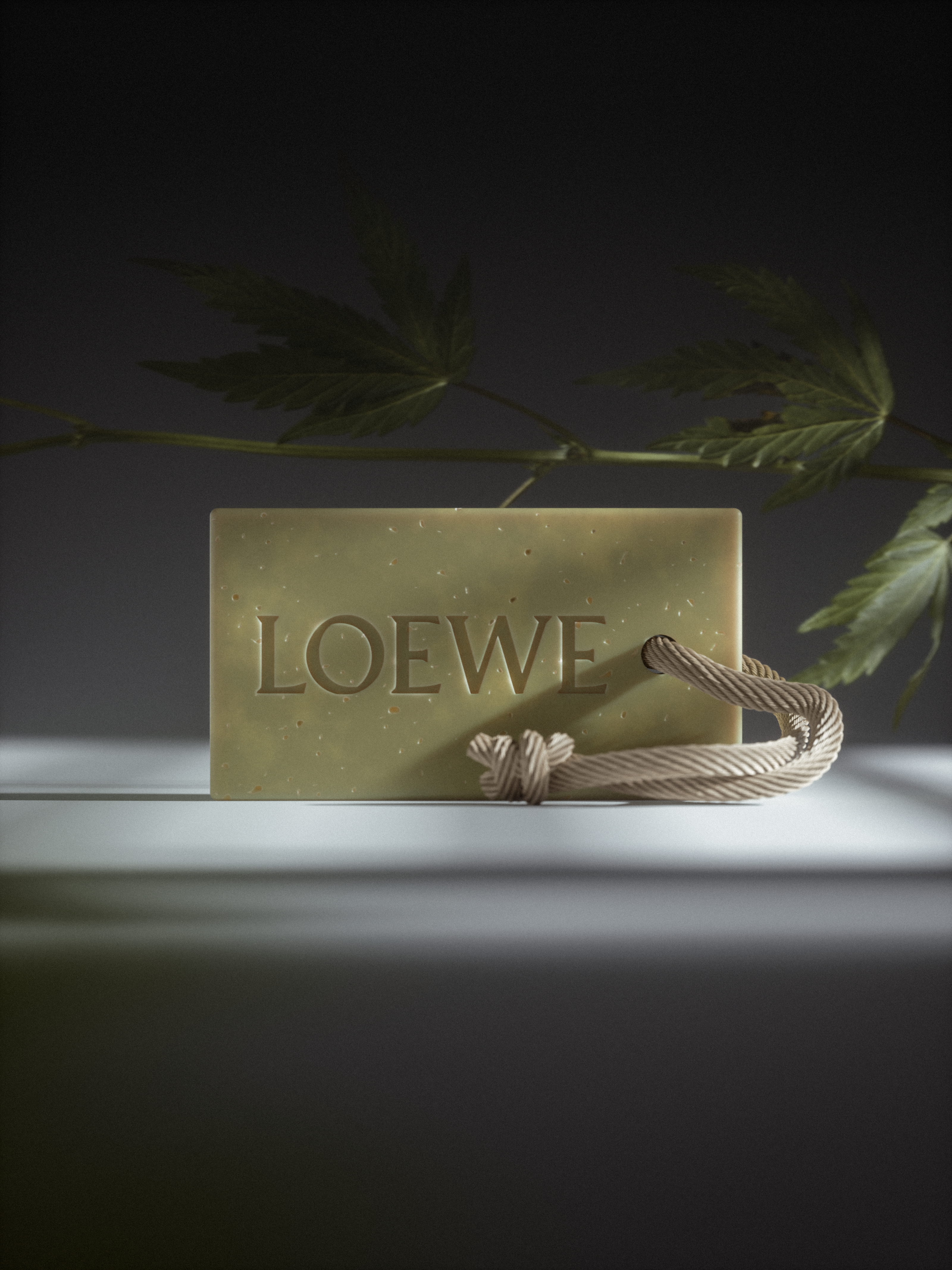 LOEWE | CGI — Изображение №2 — 3D на Dprofile