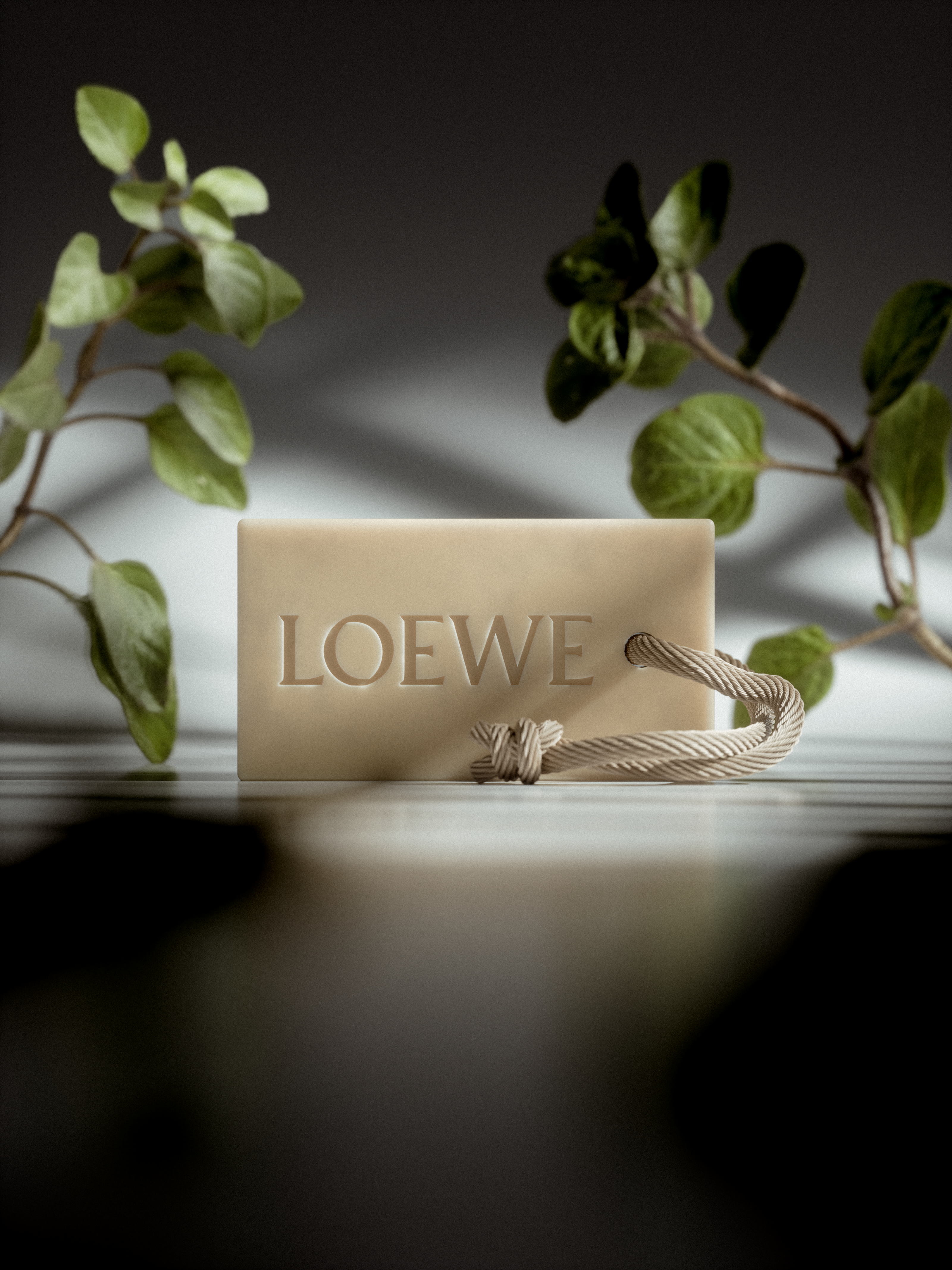 LOEWE | CGI — Изображение №8 — 3D на Dprofile