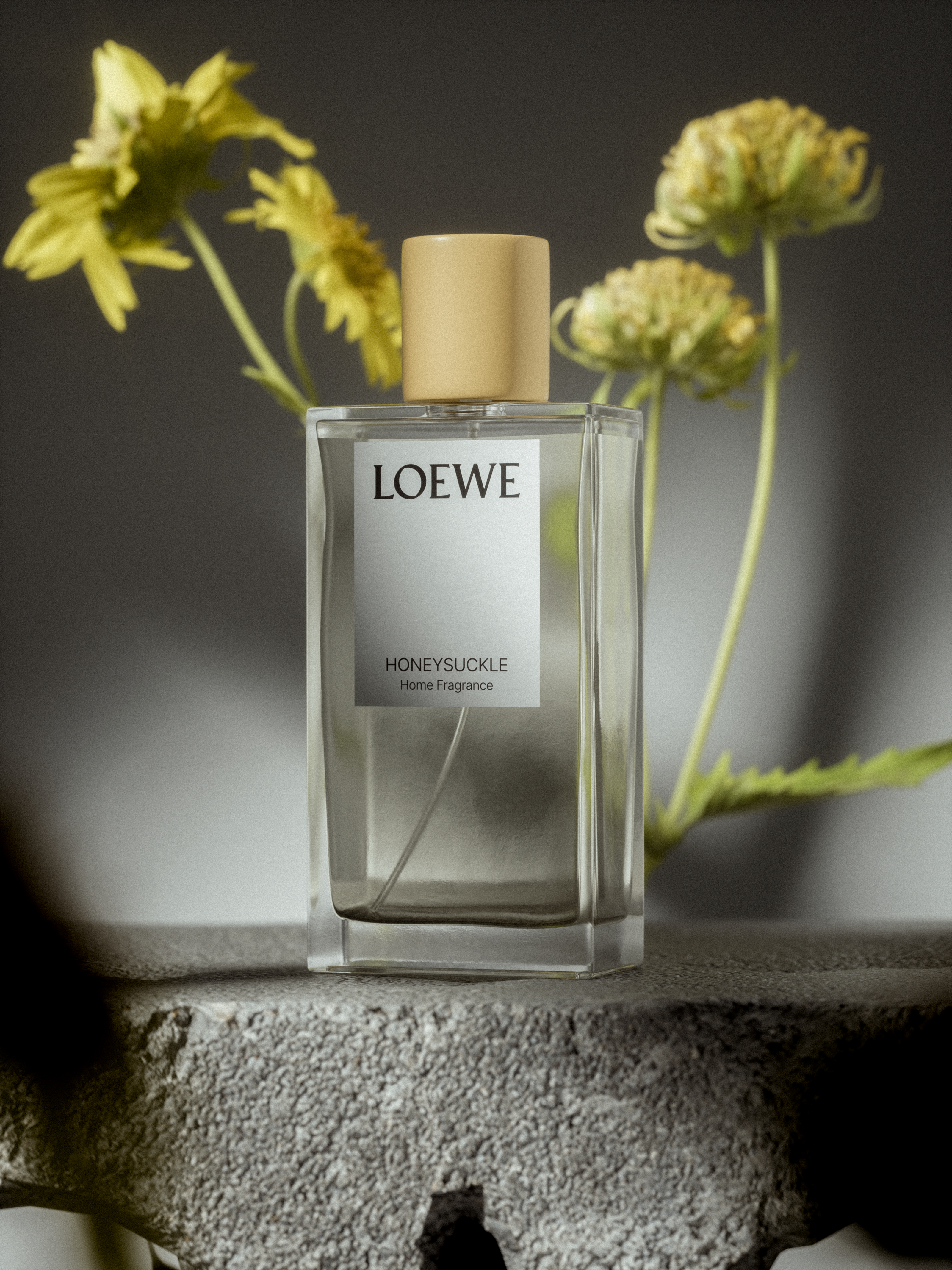 LOEWE | CGI — Изображение №9 — 3D на Dprofile