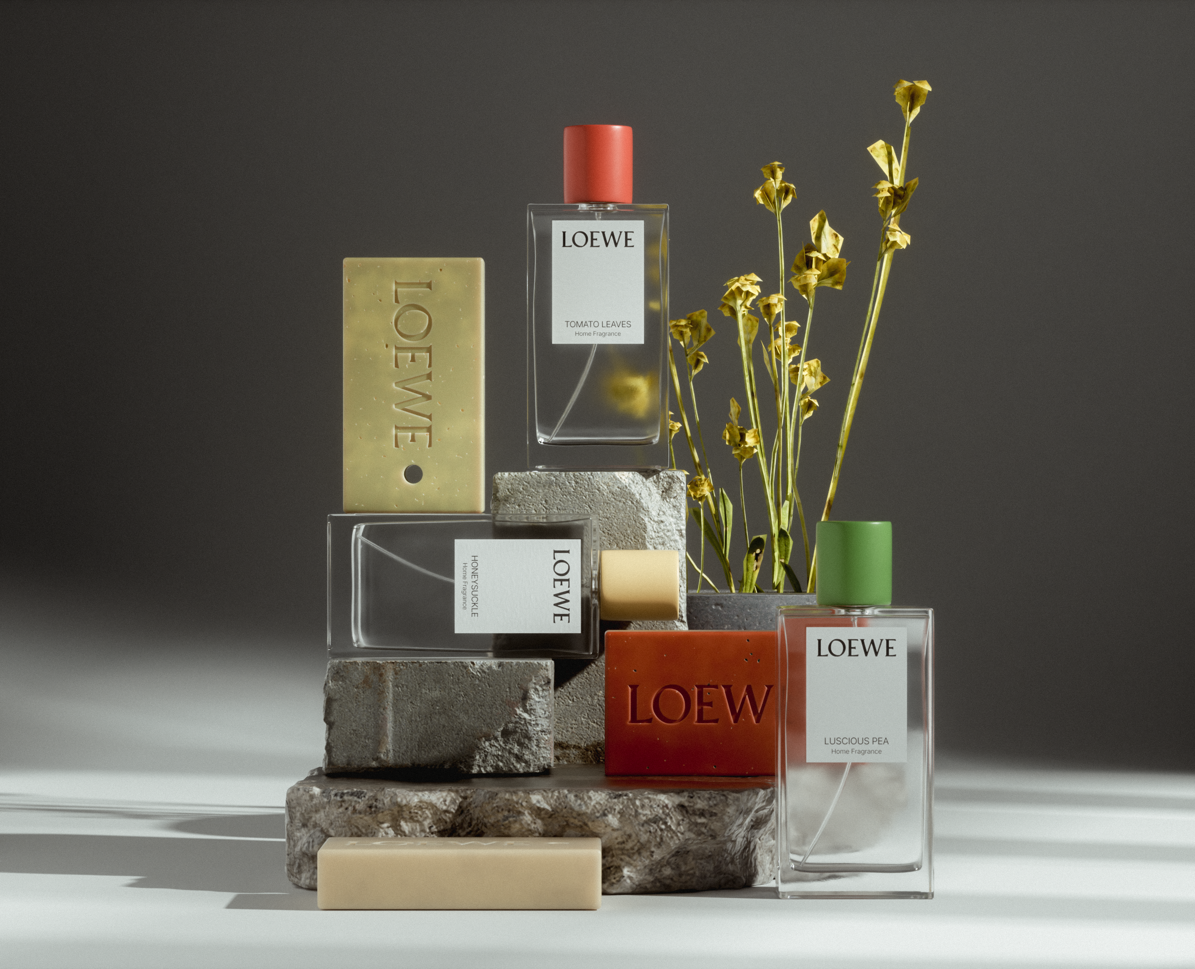 LOEWE | CGI на Dprofile