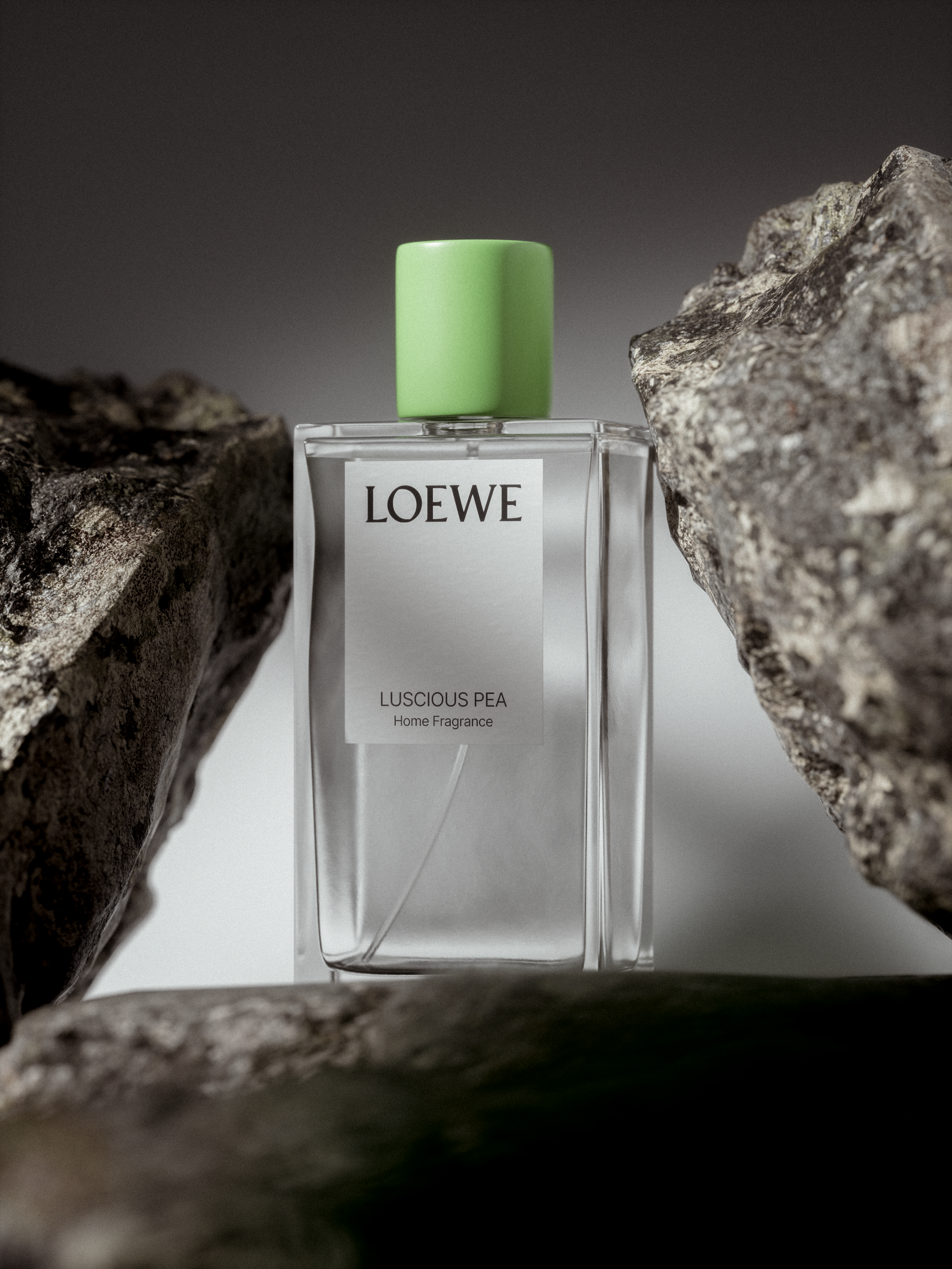 LOEWE | CGI — Изображение №5 — 3D на Dprofile