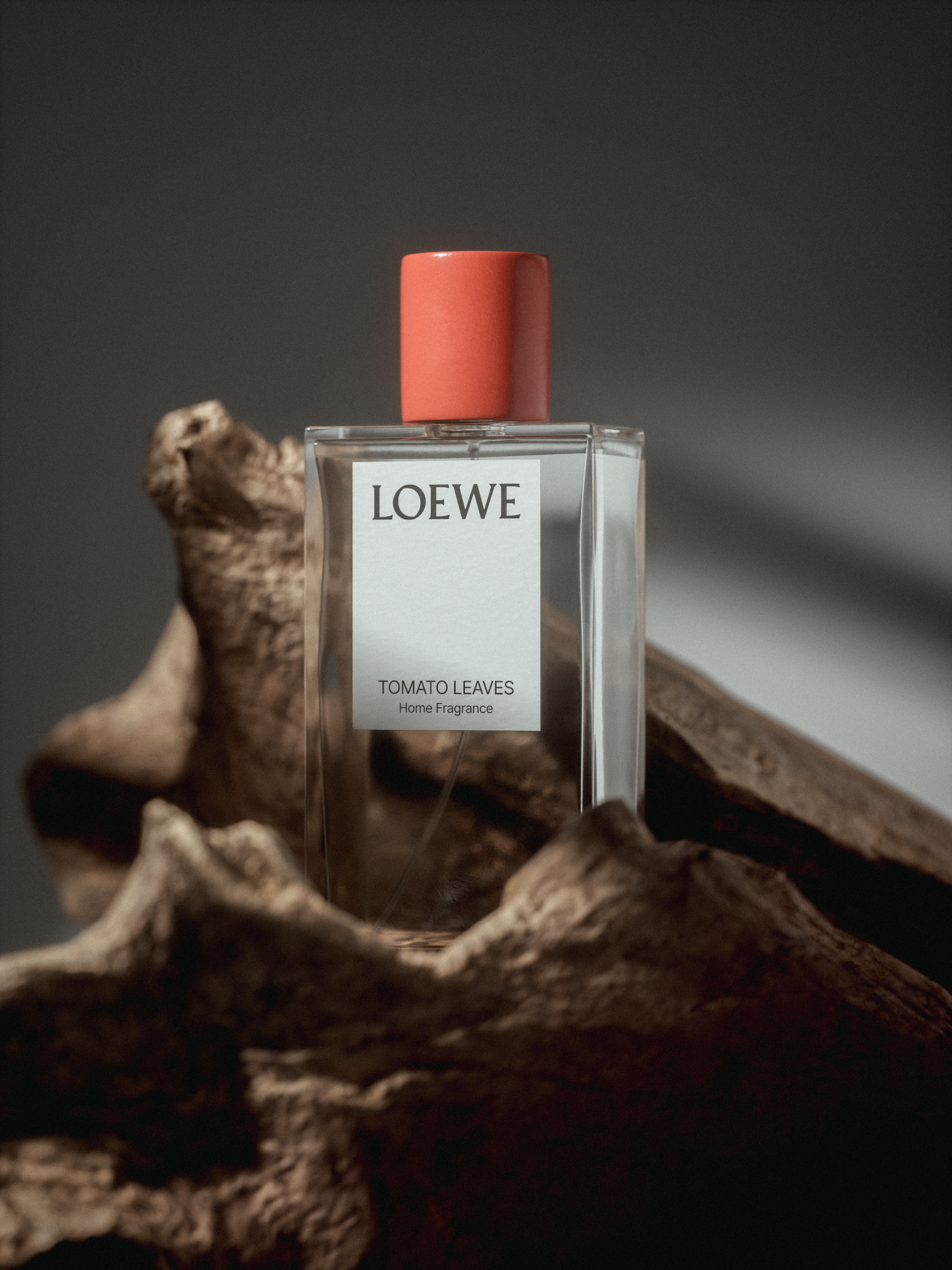 LOEWE | CGI — Изображение №14 — 3D на Dprofile