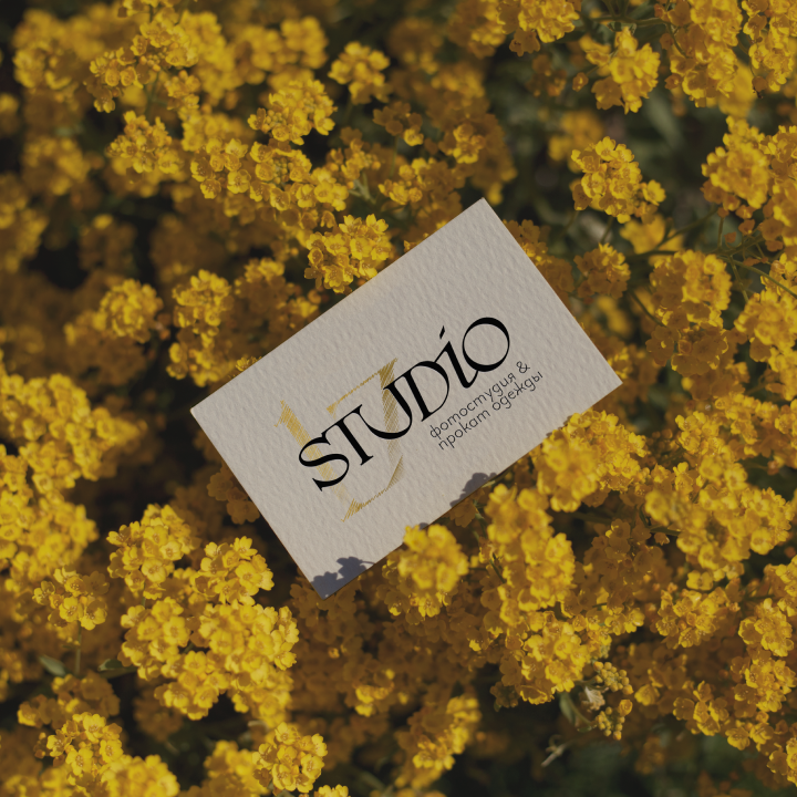 STUDIO 17 | Разработка логотипа и фирменного стиля — Изображение №2 — Брендинг на Dprofile
