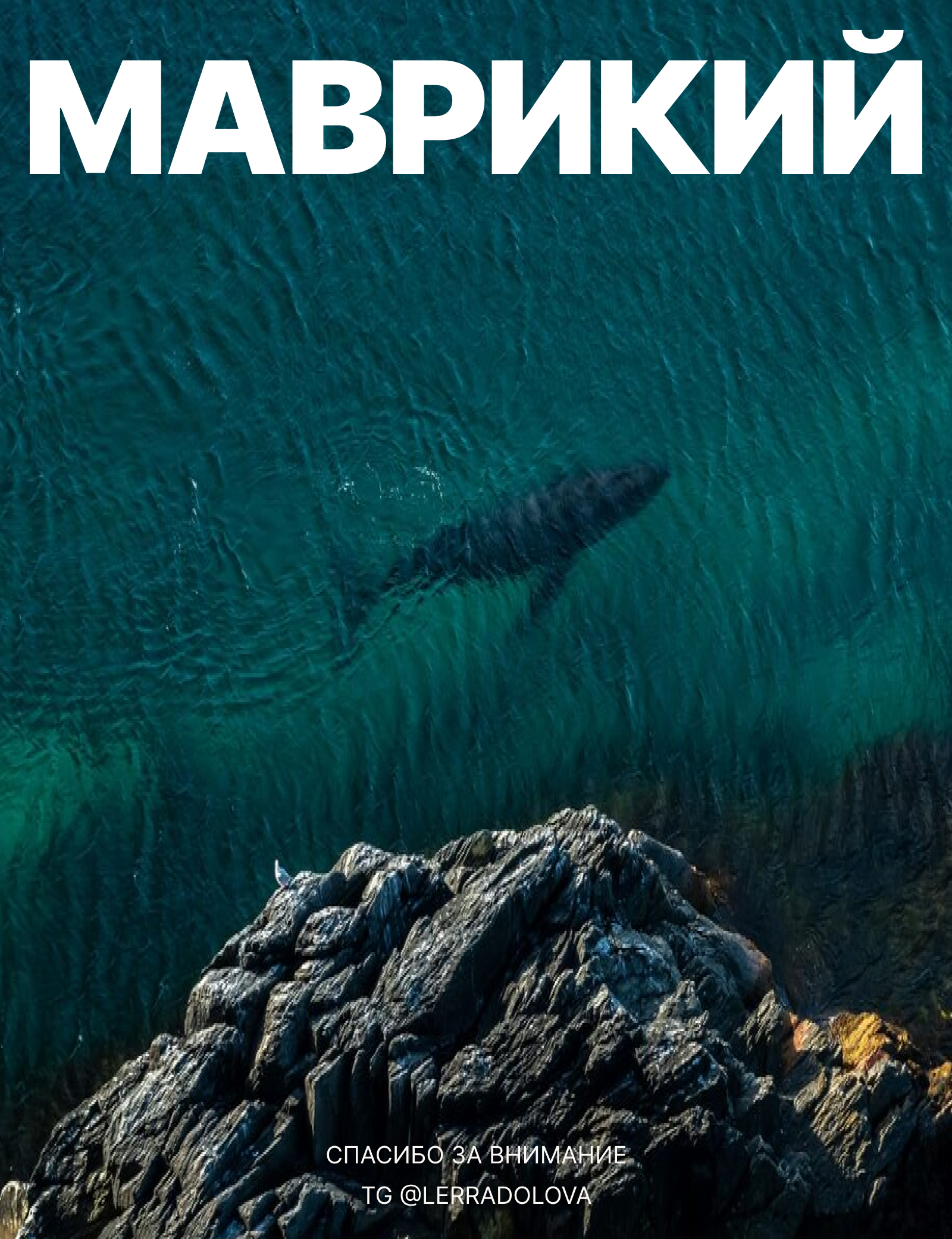 SEE WHALES — Изображение №7 — Интерфейсы, Анимация на Dprofile